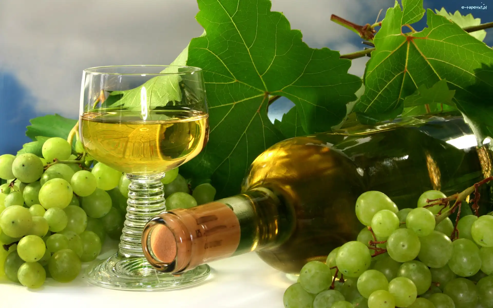 Lampka, Wino, Winogorona