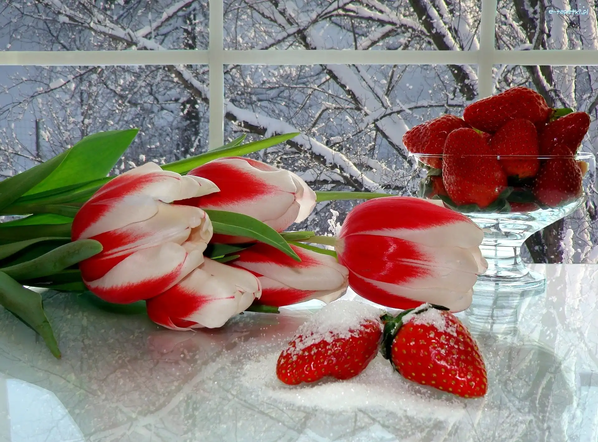 Śnieg, Truskawki, Tulipany, Okno