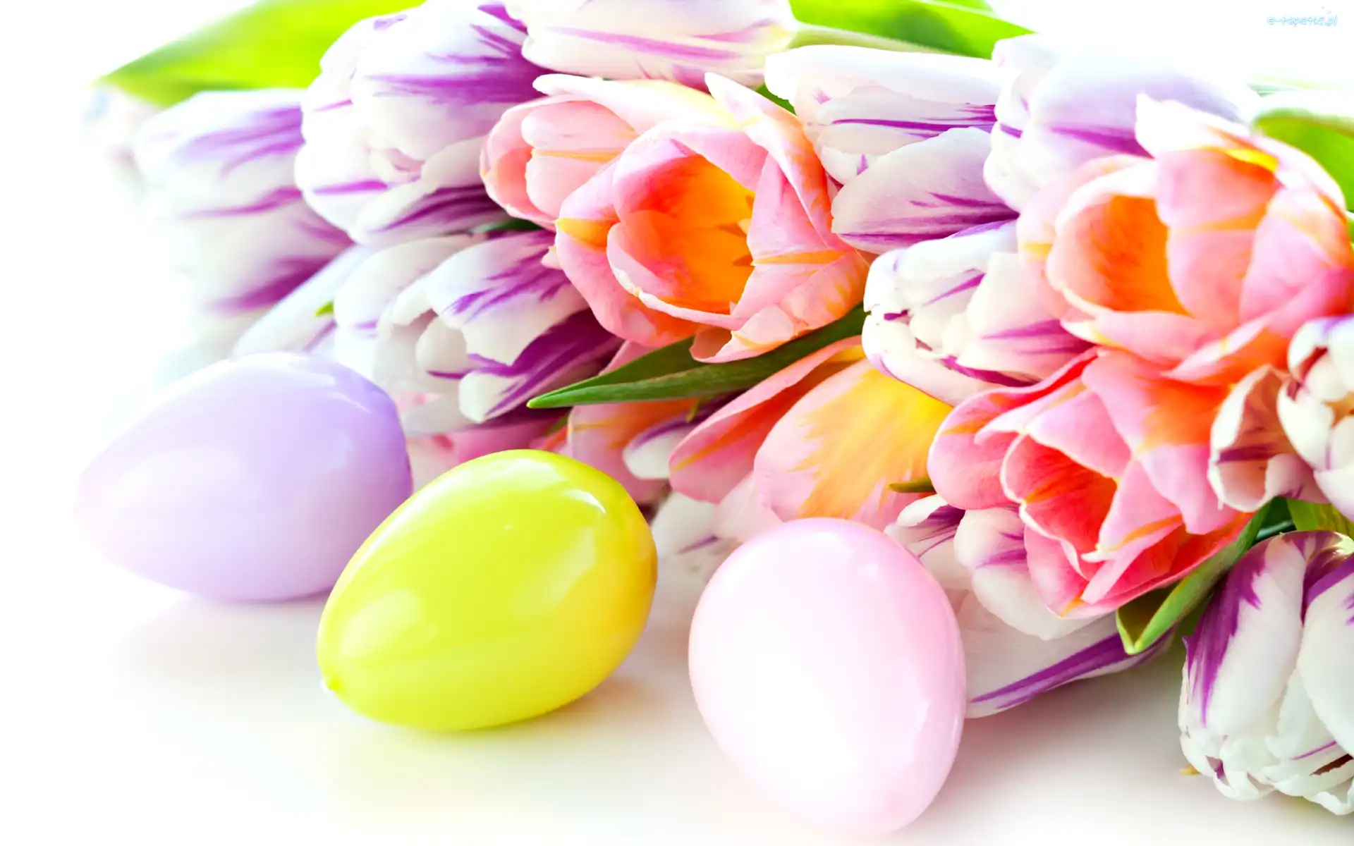 Jajeczka, Wielkanocne, Tulipany