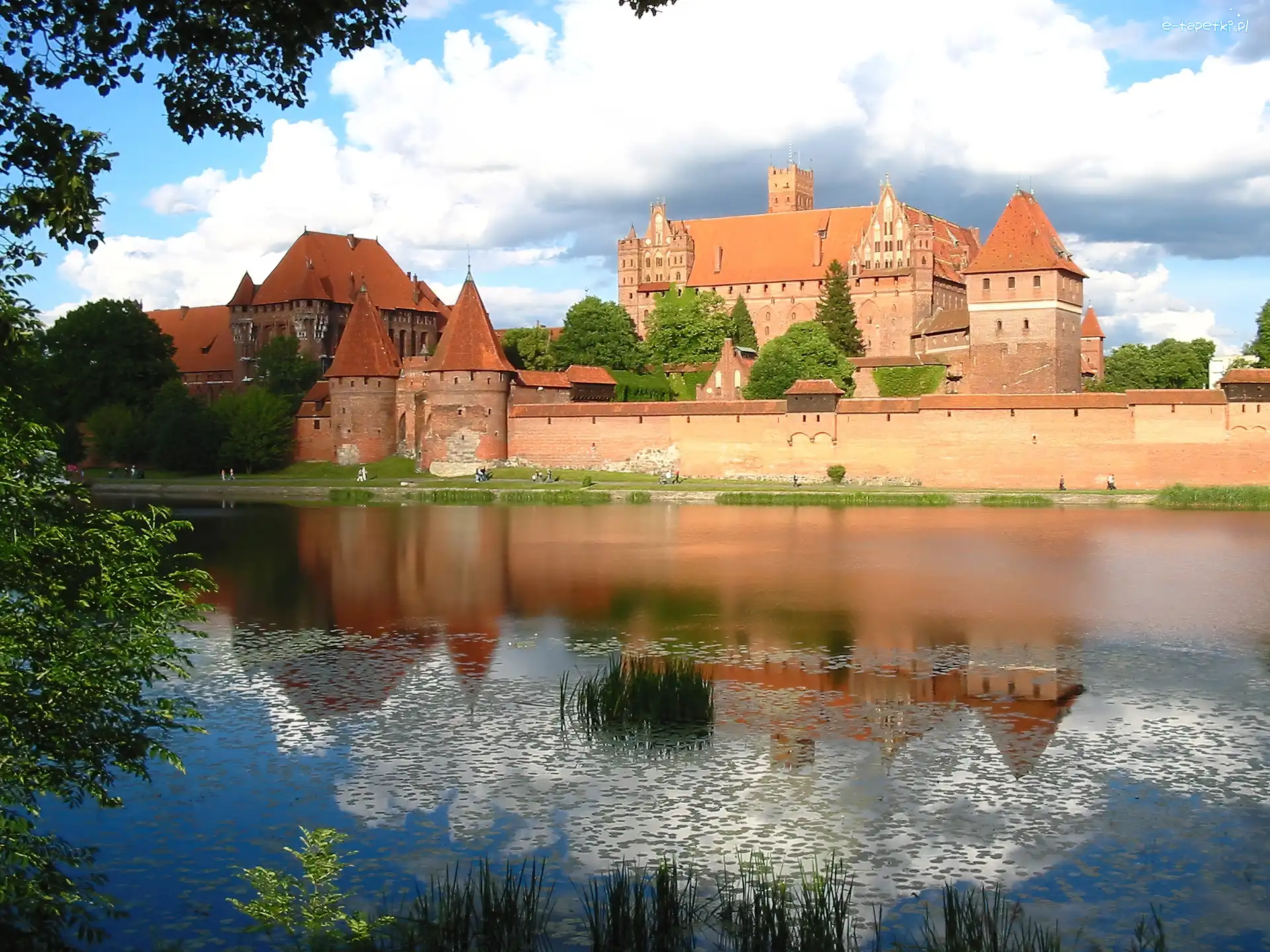 Woda, Zamek, Malbork