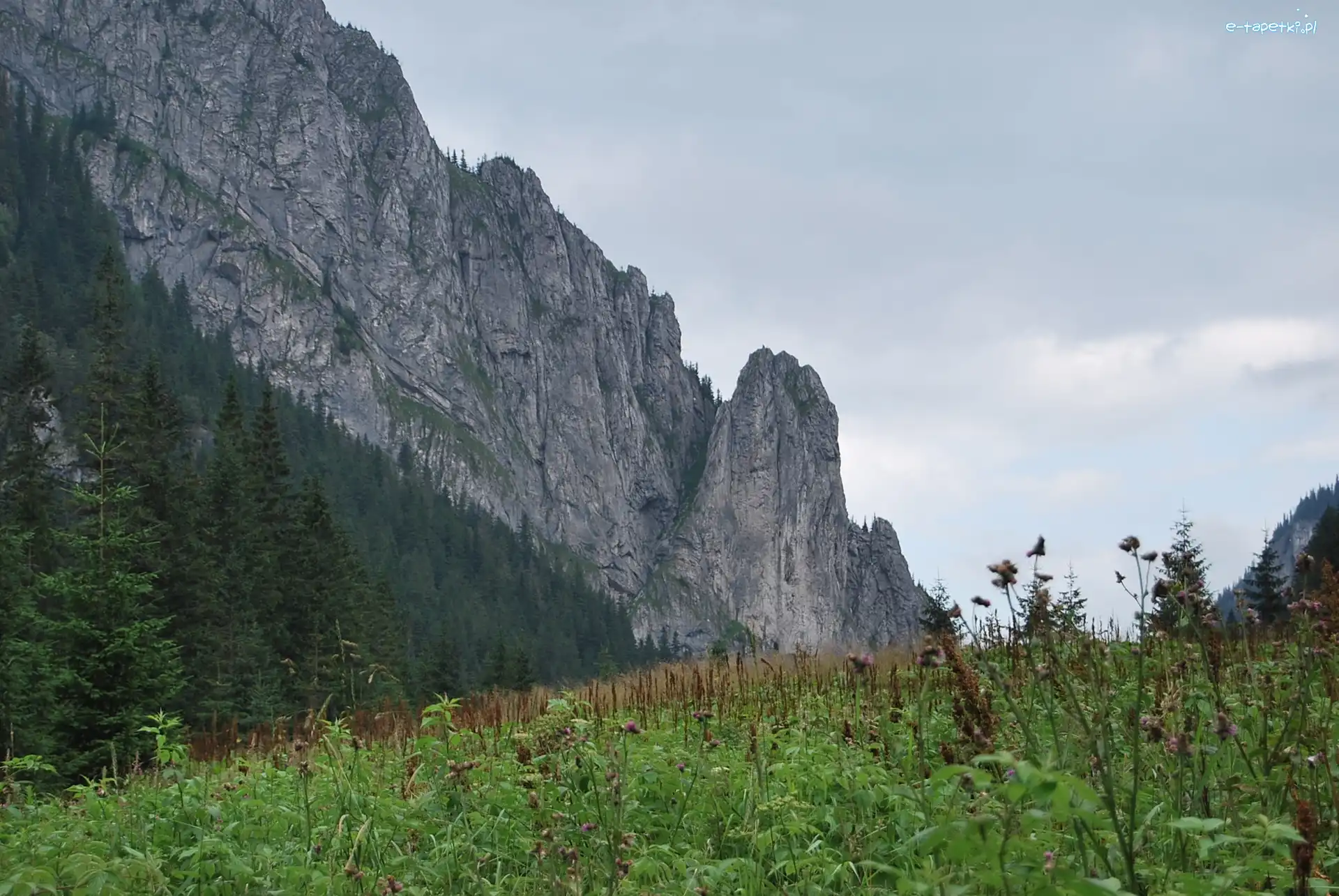 Szczyty, Dolina Kościeliska, Tatry