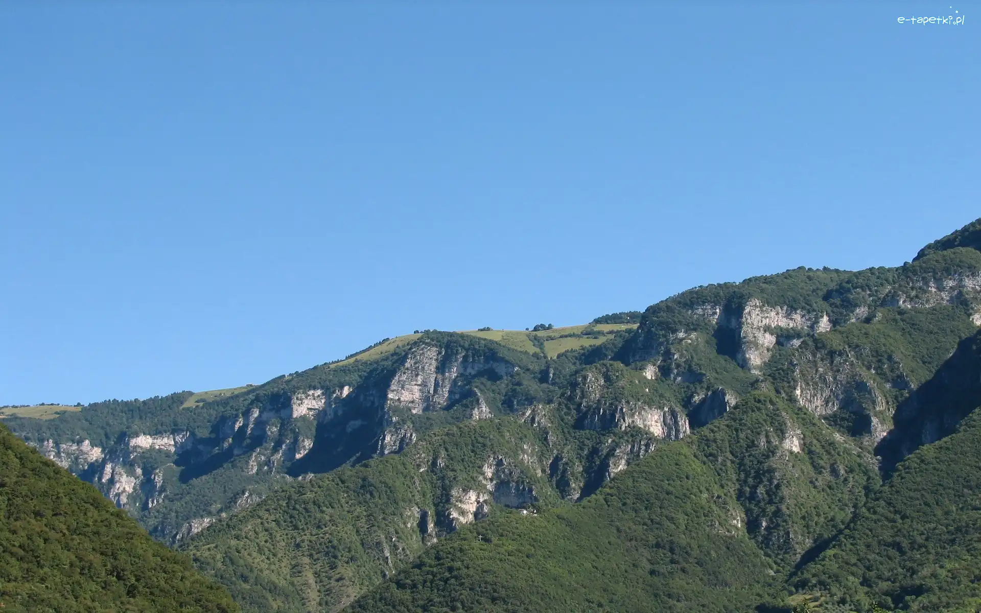 Góry, Las, Wysokość, Trawa, Drzewa