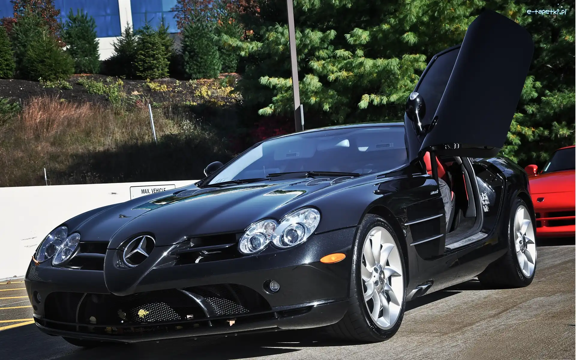 Drzewa, Ulica, Mercedes Benz SLR McLaren