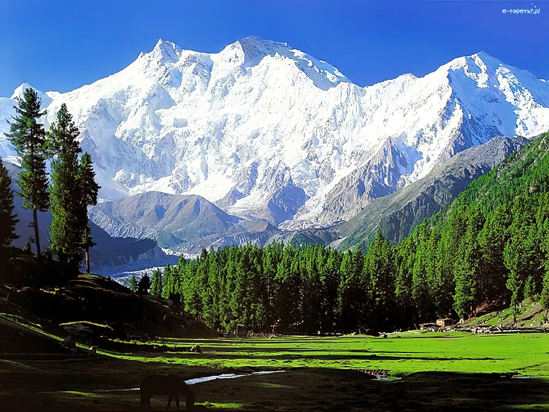 Ośmiotysięcznik, Nanga, Parbat, Góry, Himalaje, Pakistan