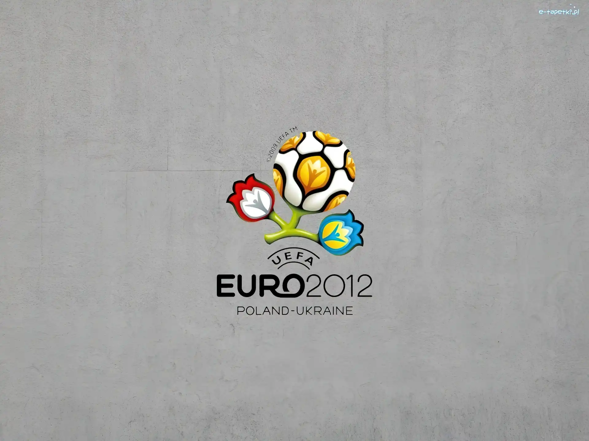 2012, Euro, Logo