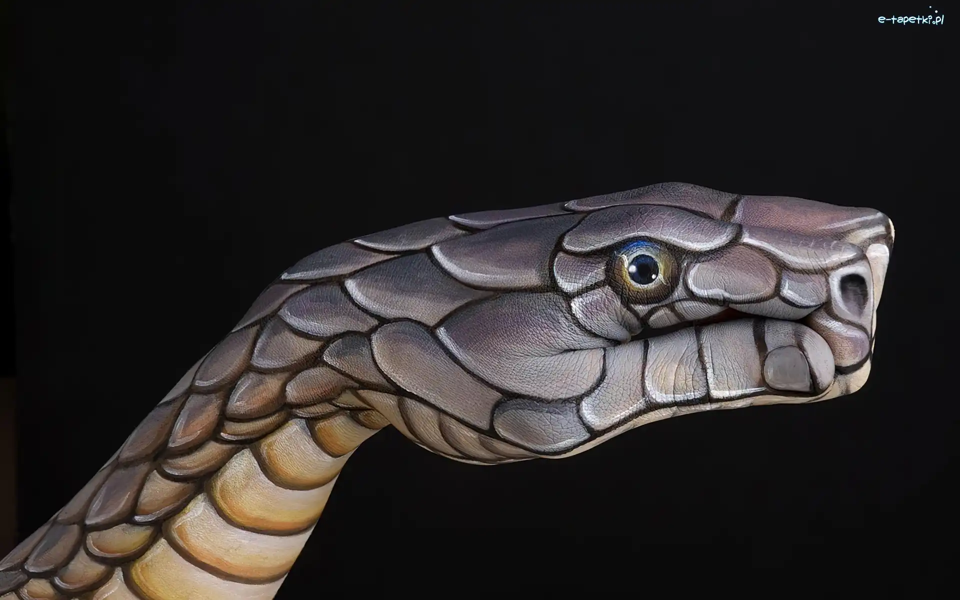 Malowana, Bodypainting, Dłoń, Wąż