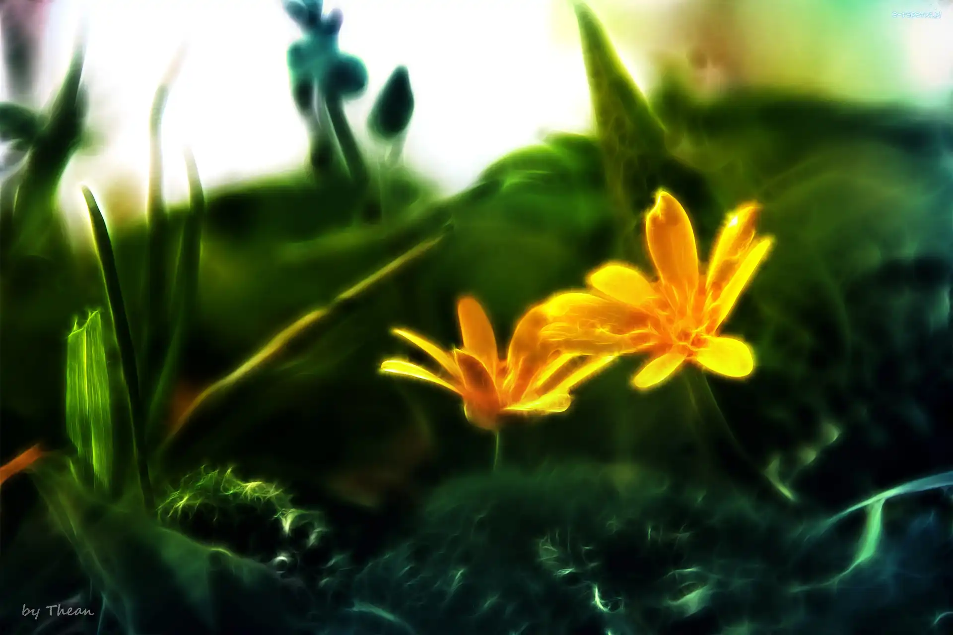 Wiosenne, Fractalius, Kwiaty, Żółte
