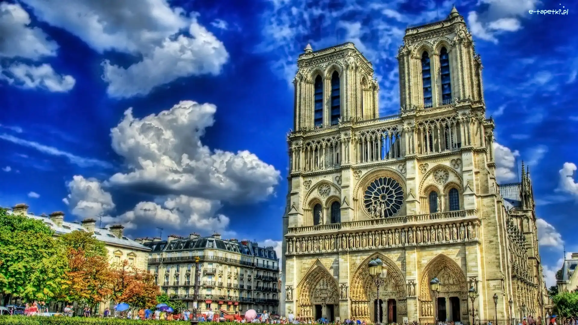 Francja, Paryż, Katedra Notre-Dame
