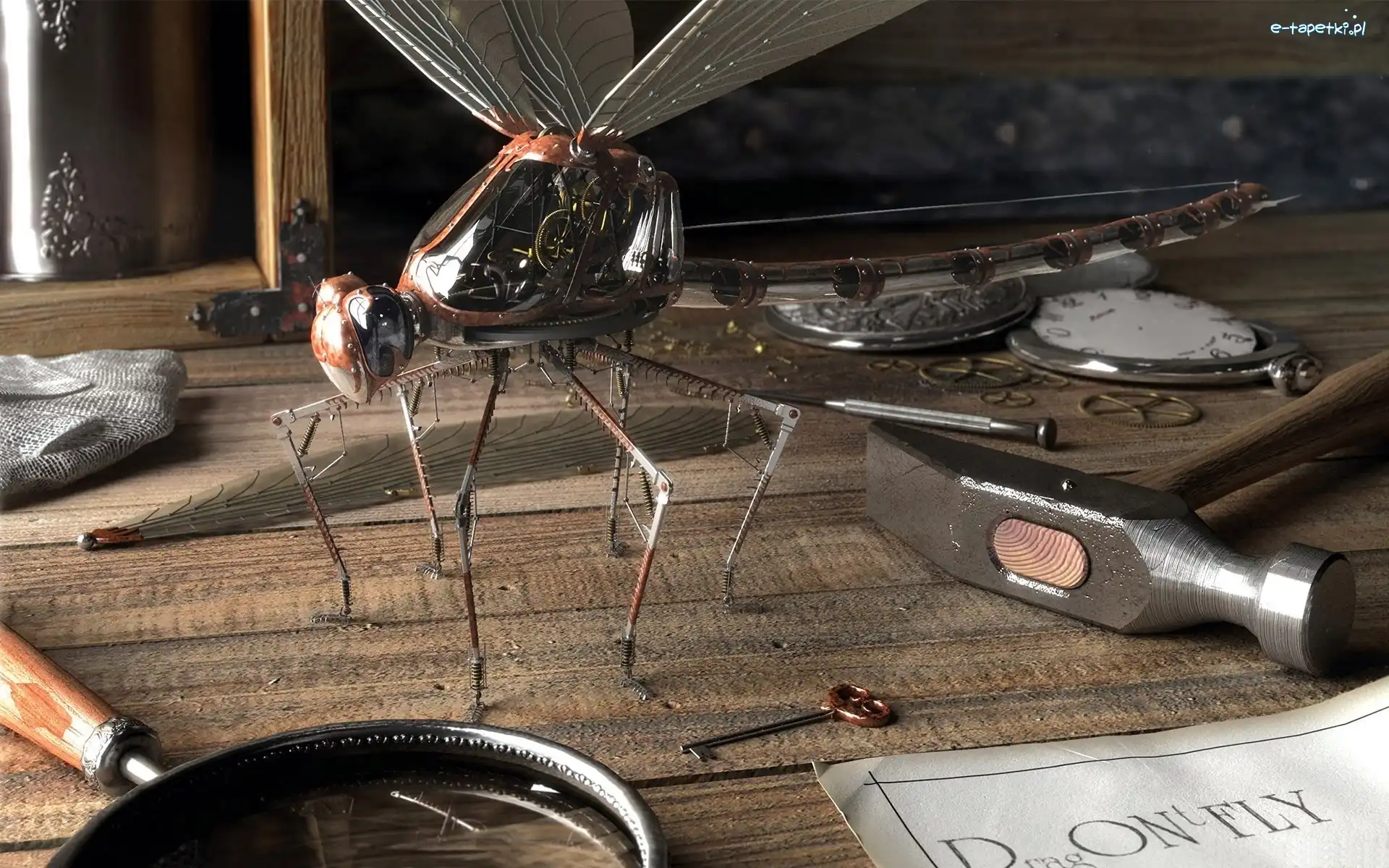 Ważka, Steampunk, Narzędzia, Mechaniczna