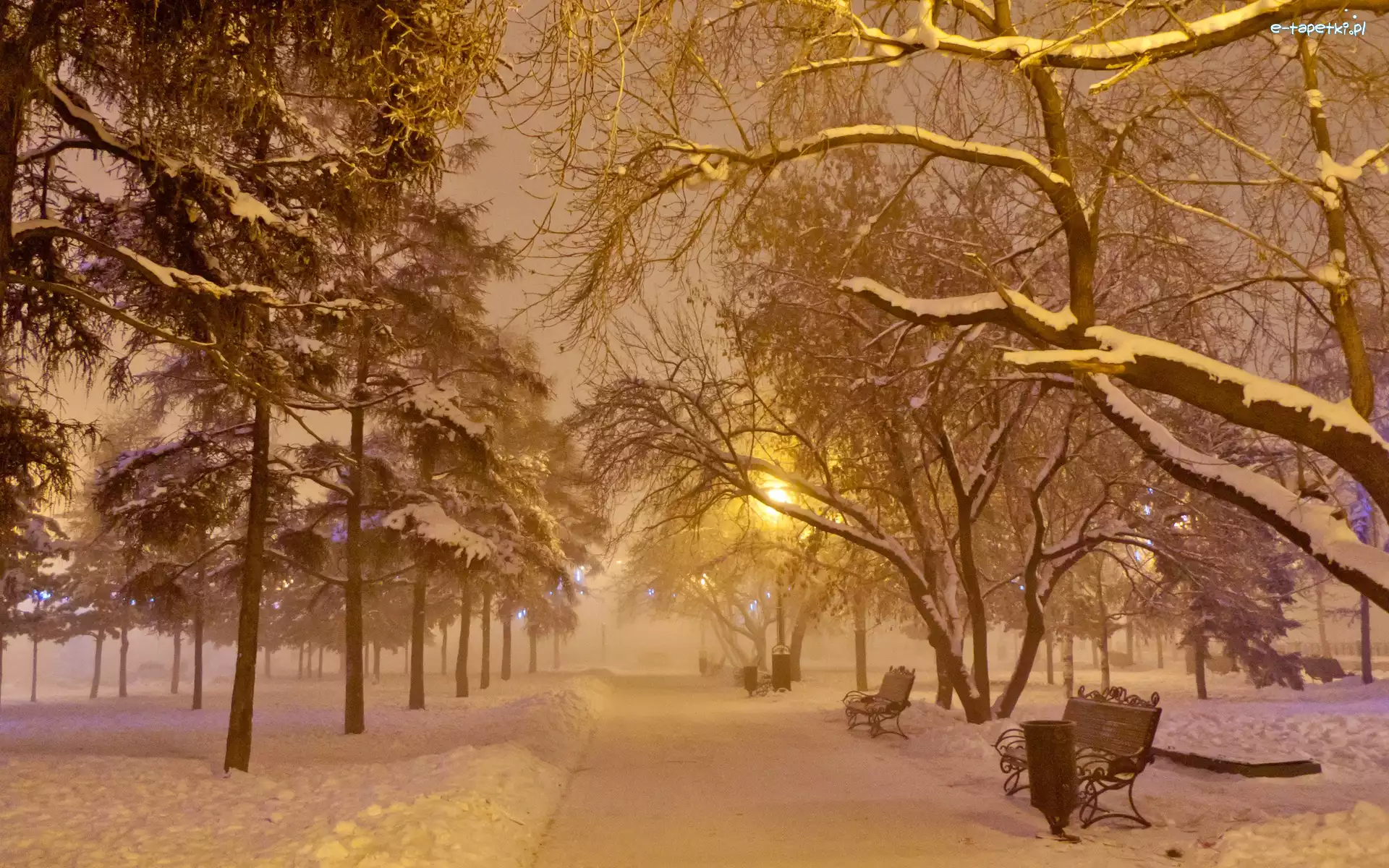 Ławki, Park, Zima