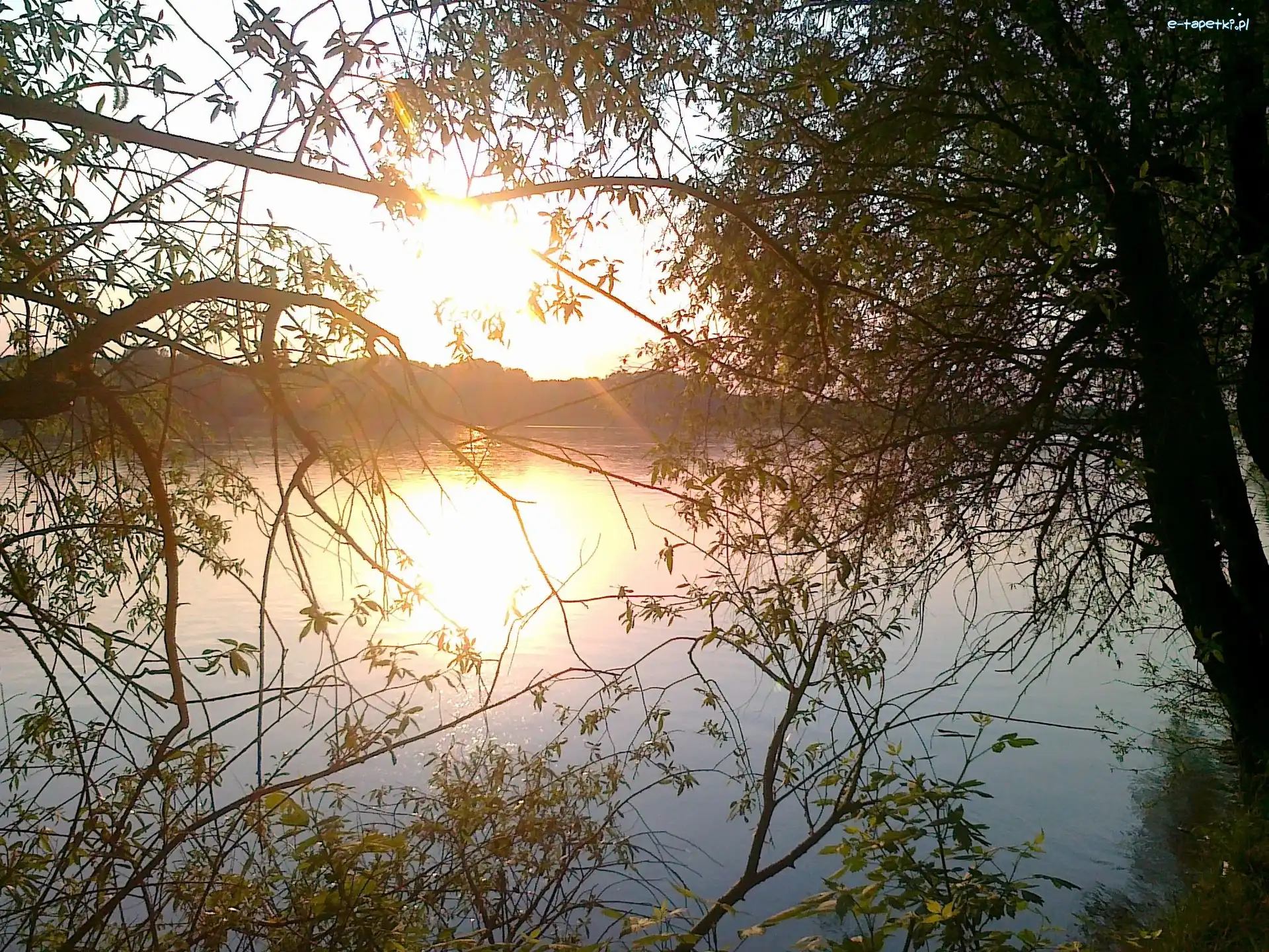 Słońca, Drzewa, Jezioro, Zachód