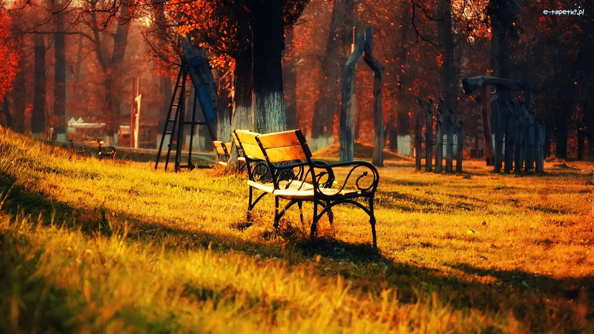 Drabinka, Drzewa, Ławeczki