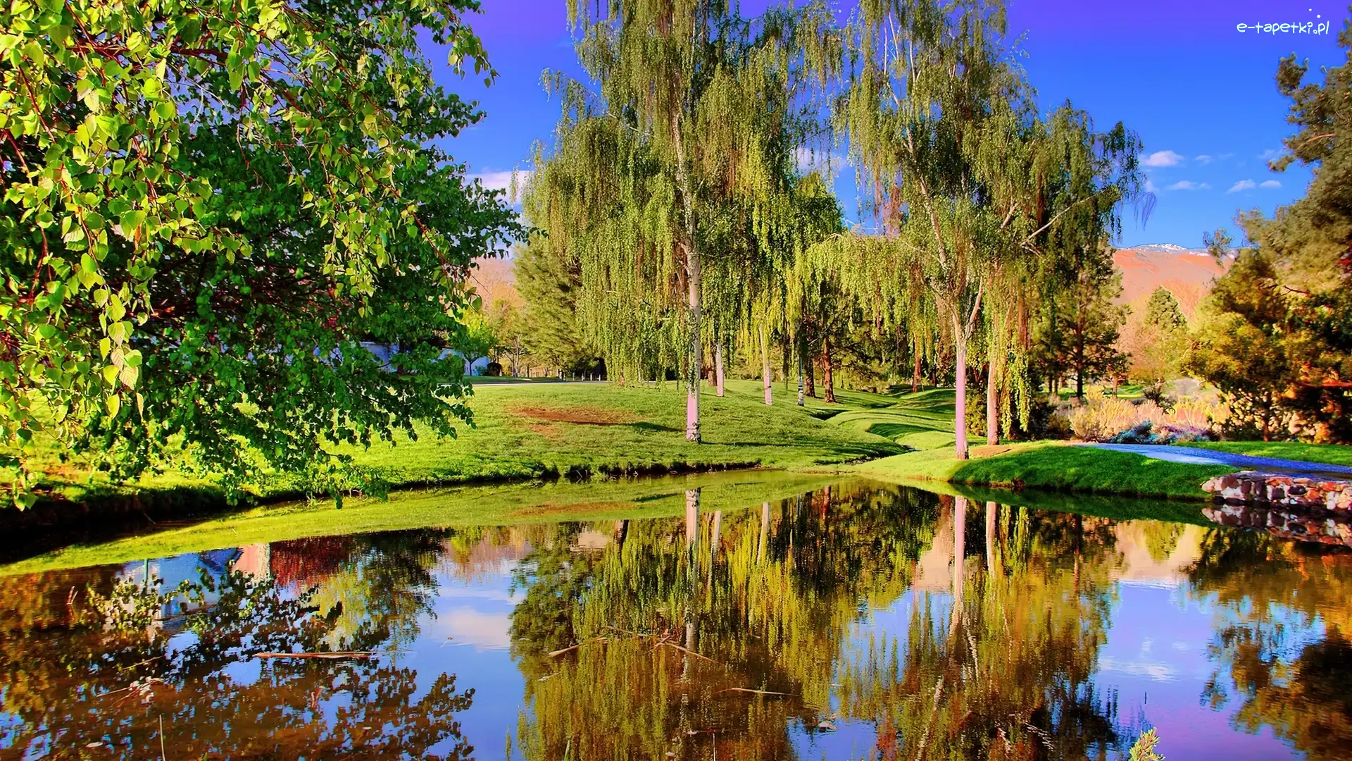 Jezioro, Drzewa