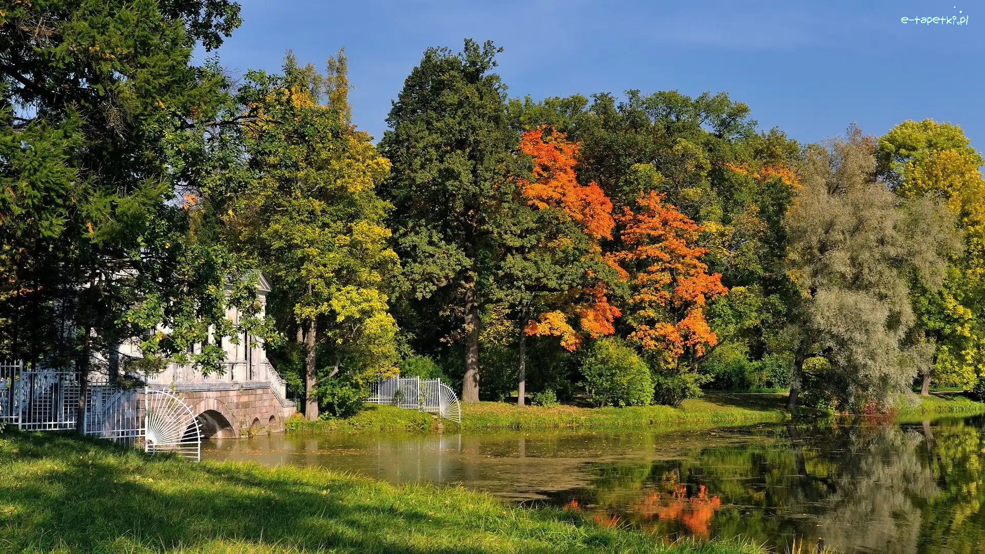 Jezioro, Jesień, Drzewa, Park