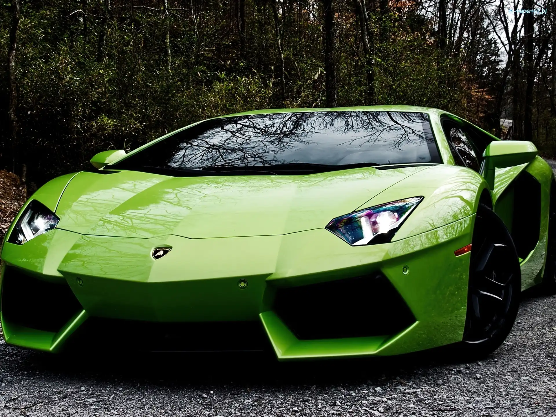 Lamborghini Aventador, Zielony
