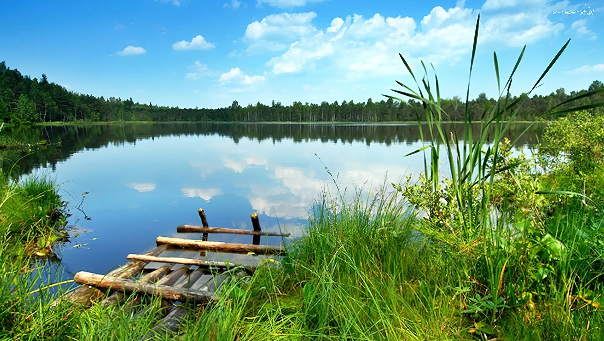 Las, Jezioro, Kaszuby