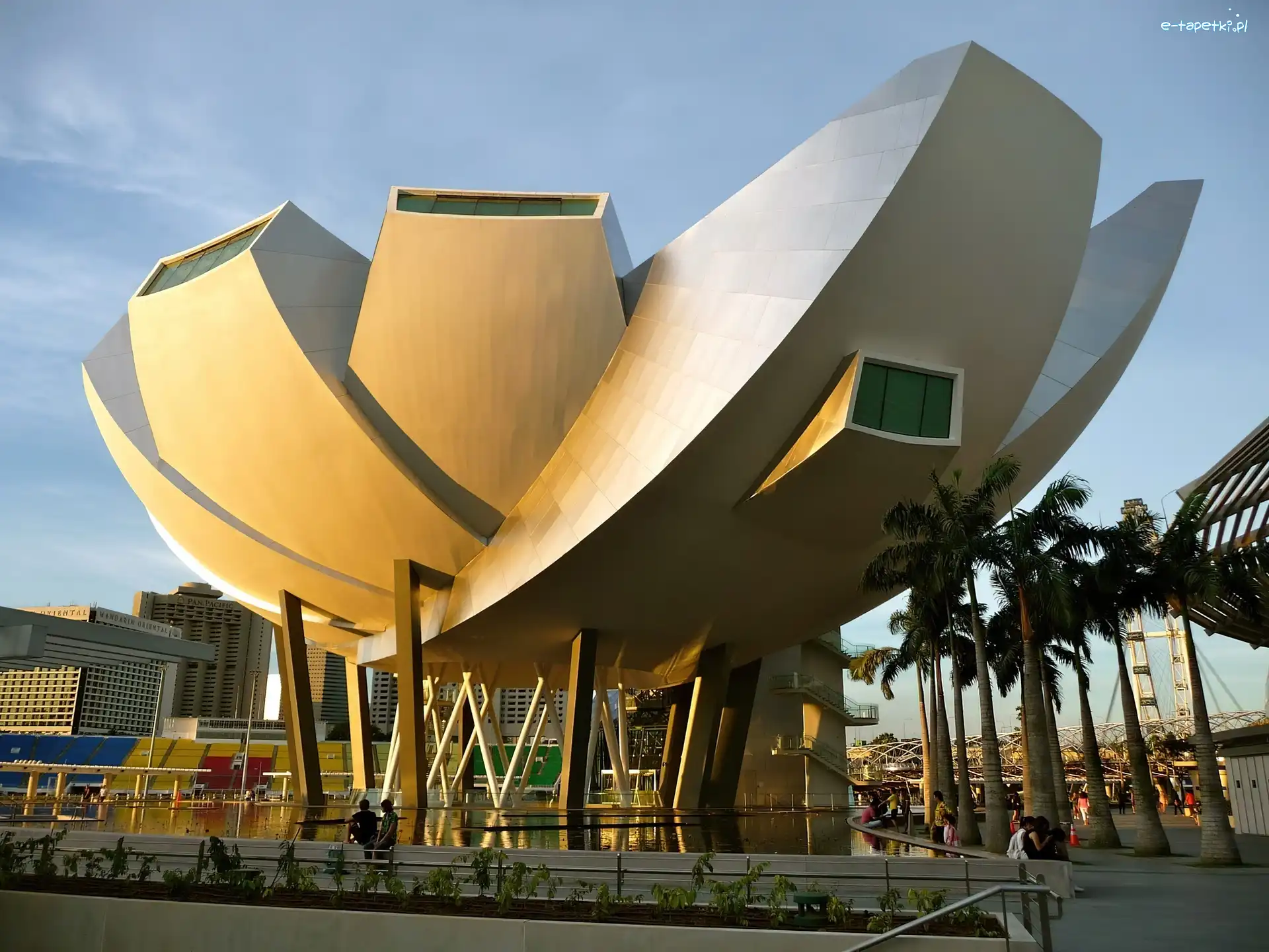 Palmy, Muzeum ArtScience Museum, Fontanna, Singapur