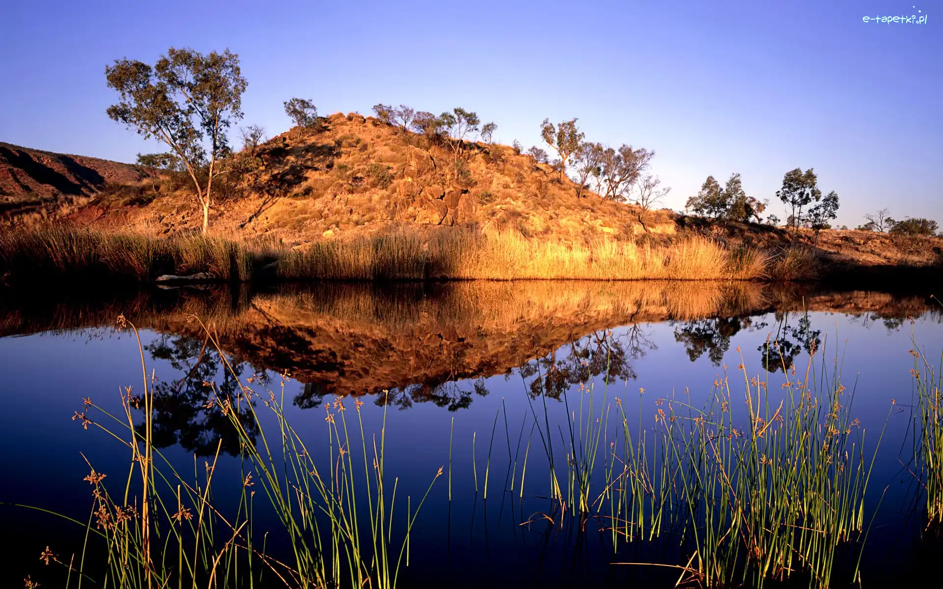 Woda, Trawy, Pagórek, Australia