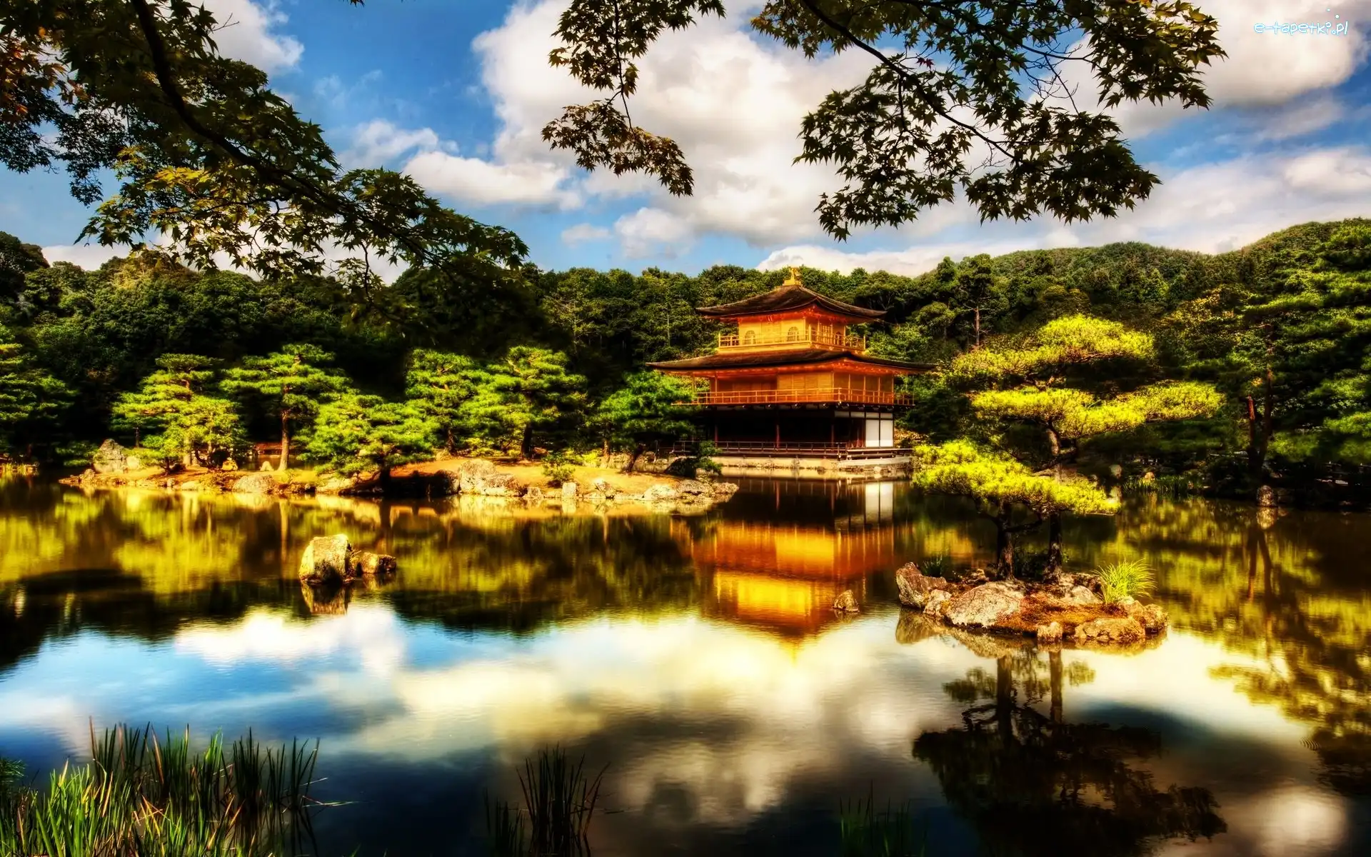 Dom, Japonia, Las, Woda