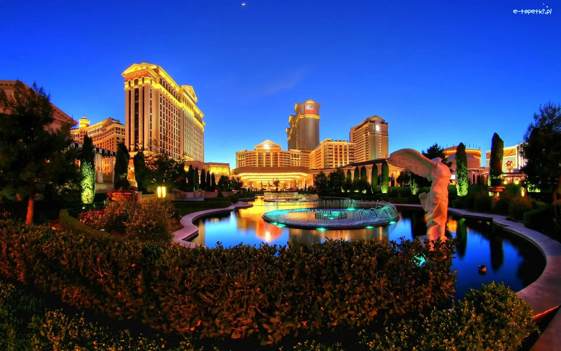 Krzewy, Miasto, Las Vegas, Fontanna