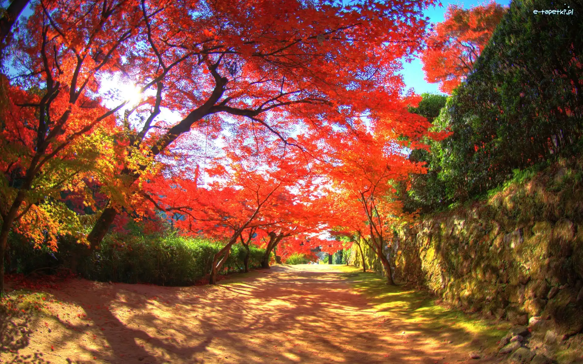 Drzewa, Park, Kanzaki