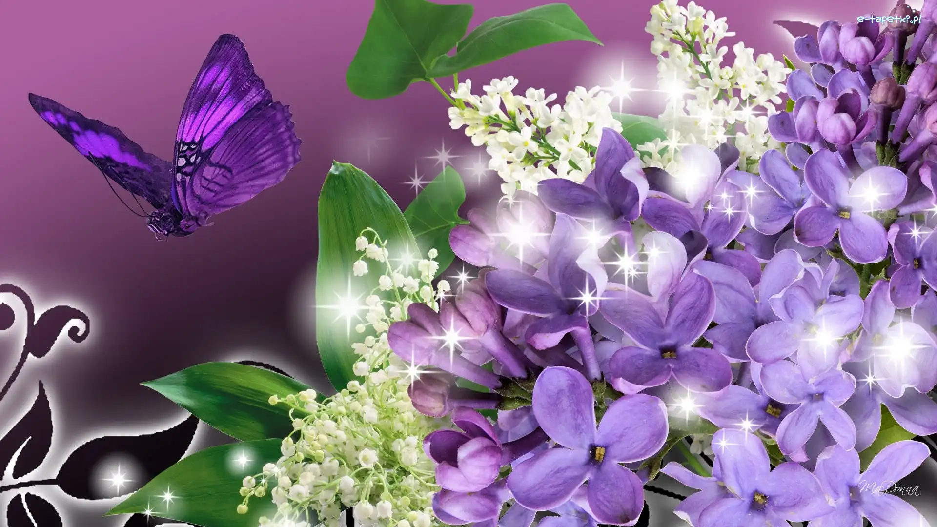Motyl, Konwalie, Bzy