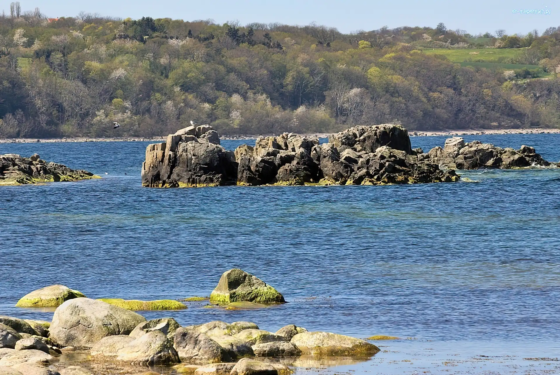Dania, Bornholm