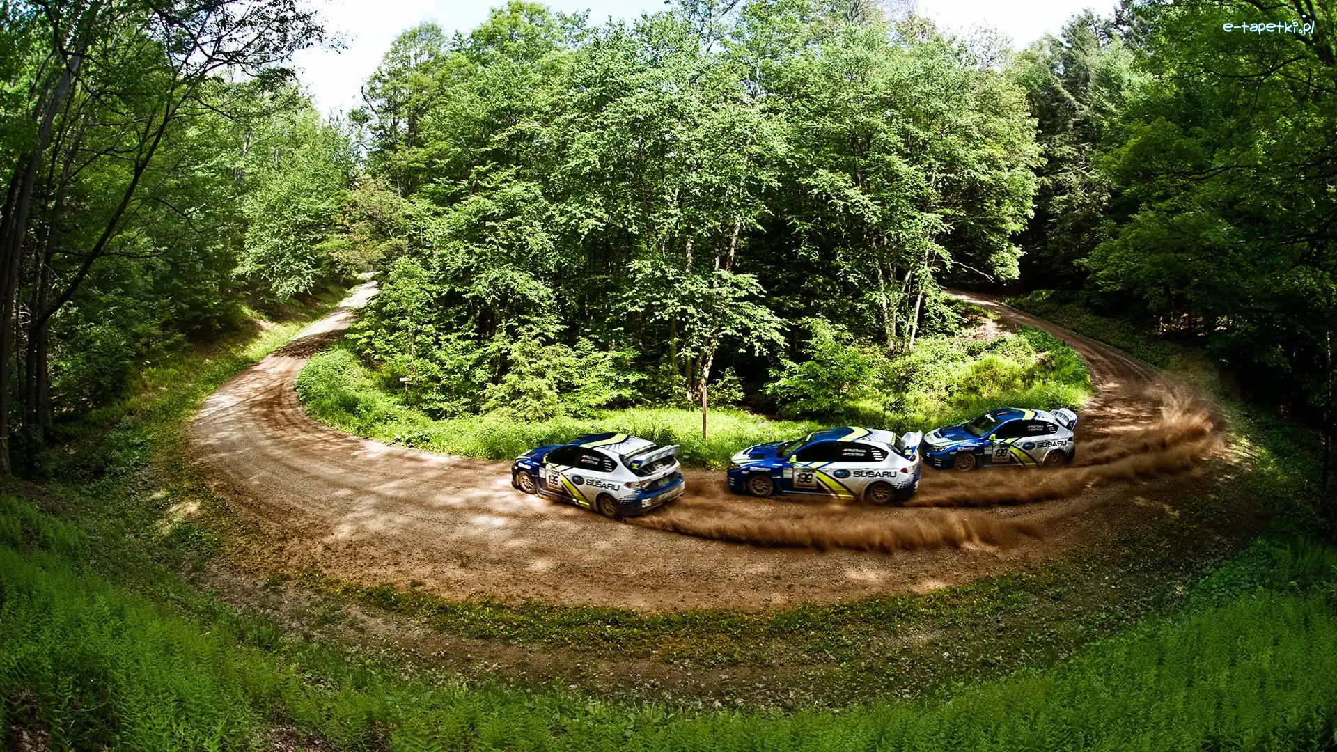 Samochodowy, Rajd