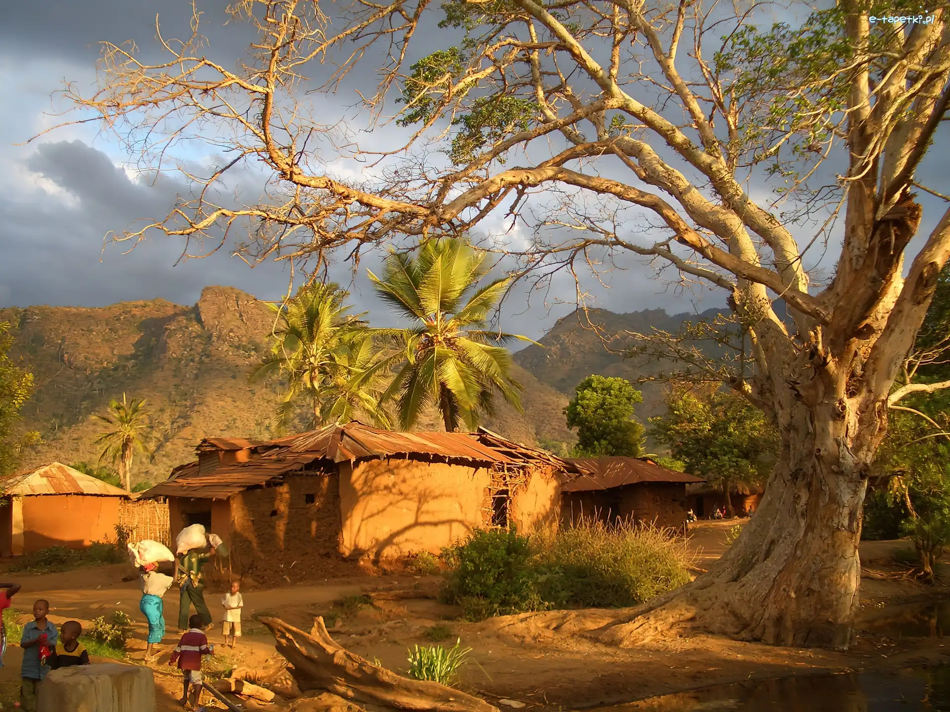 Góry, Drzewo, Wioska, Tanzania, Mieszkańcy