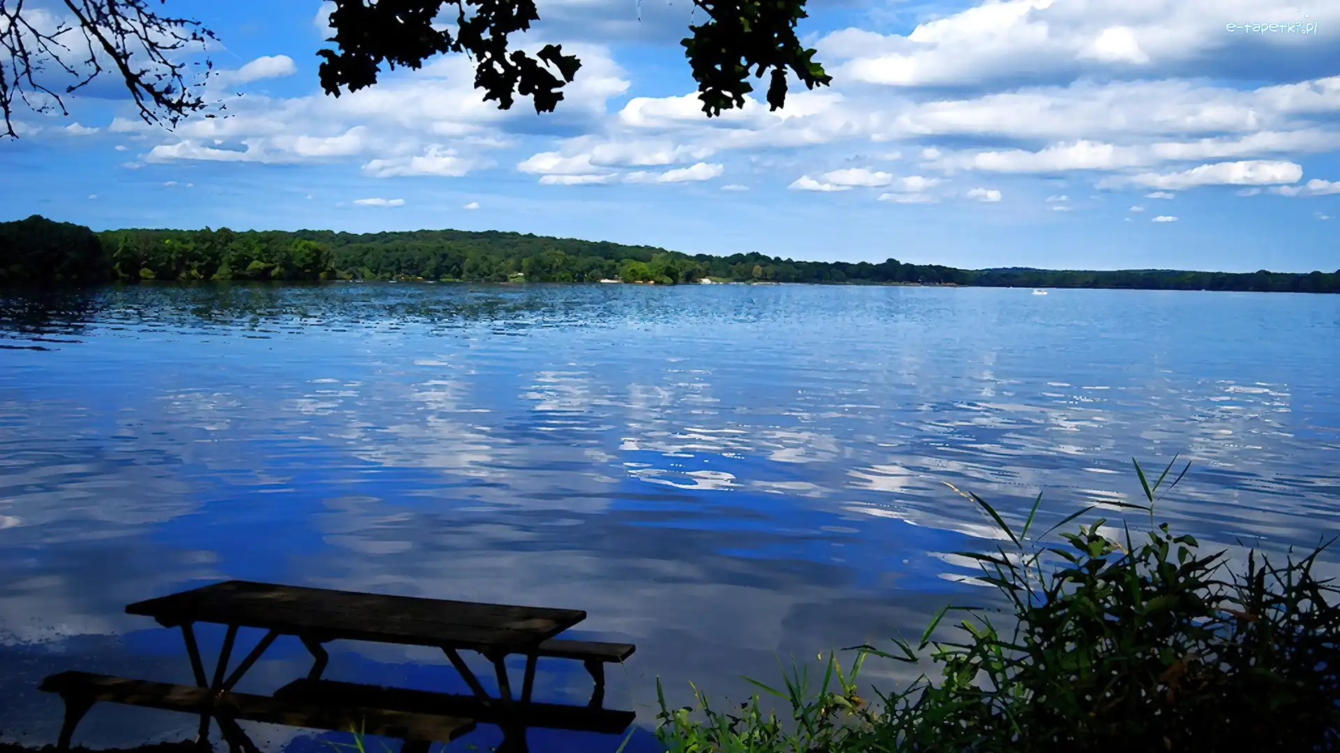 Szuwary, Ławka, Jezioro