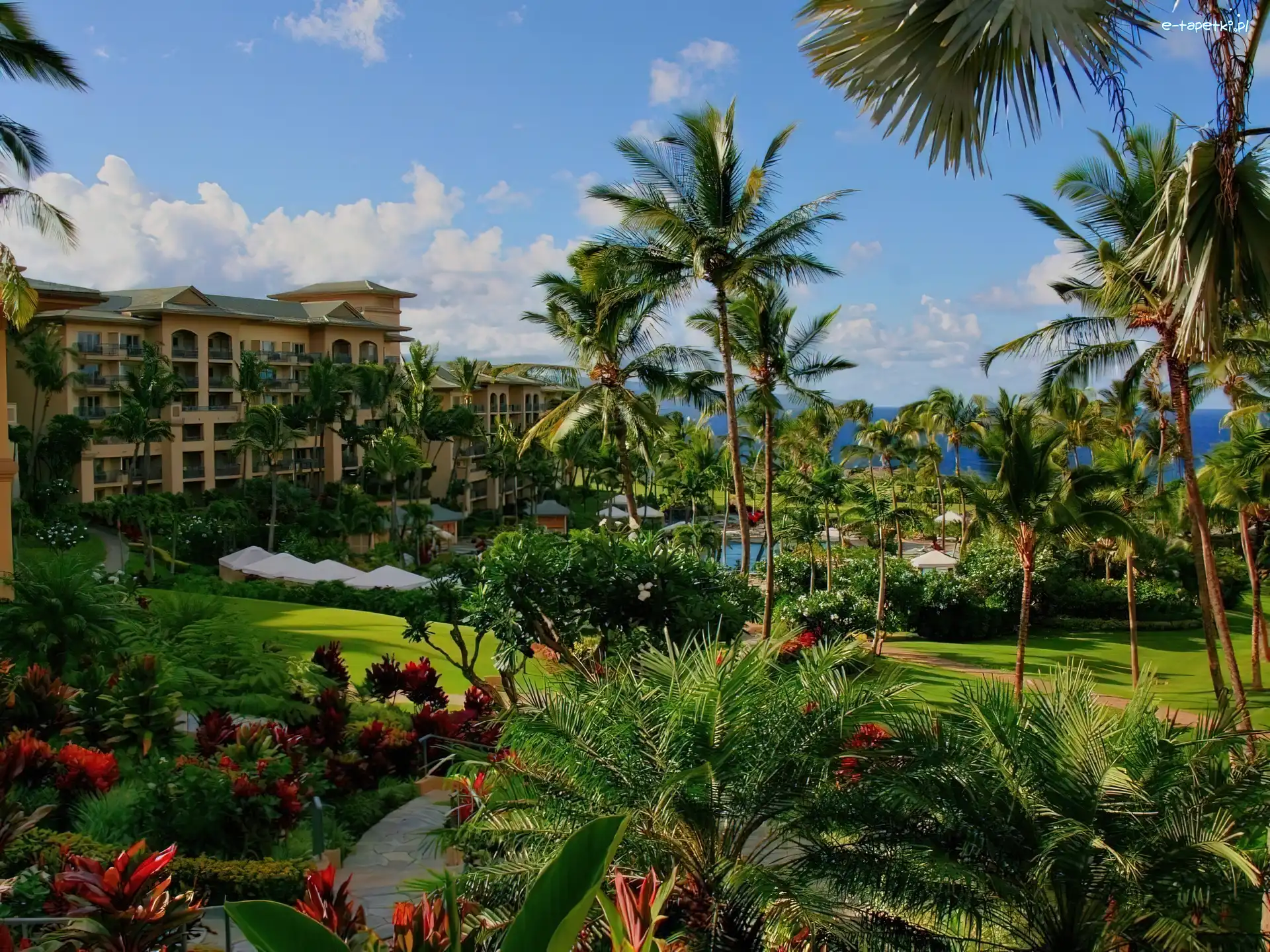 Morze, Kwiaty, Palmy, Hawaje, Park, Hotel