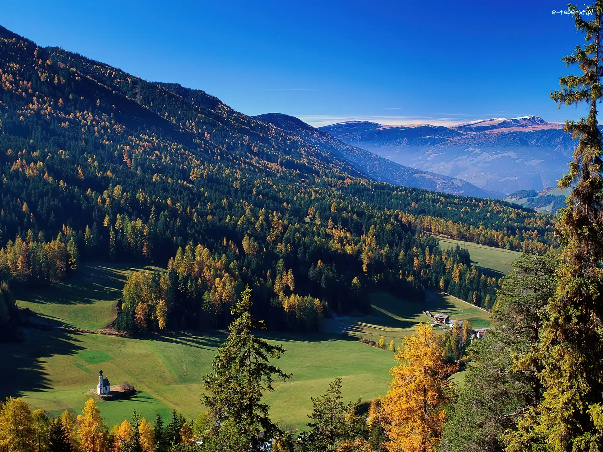 Łąki, Domek, Drzewa, Góry