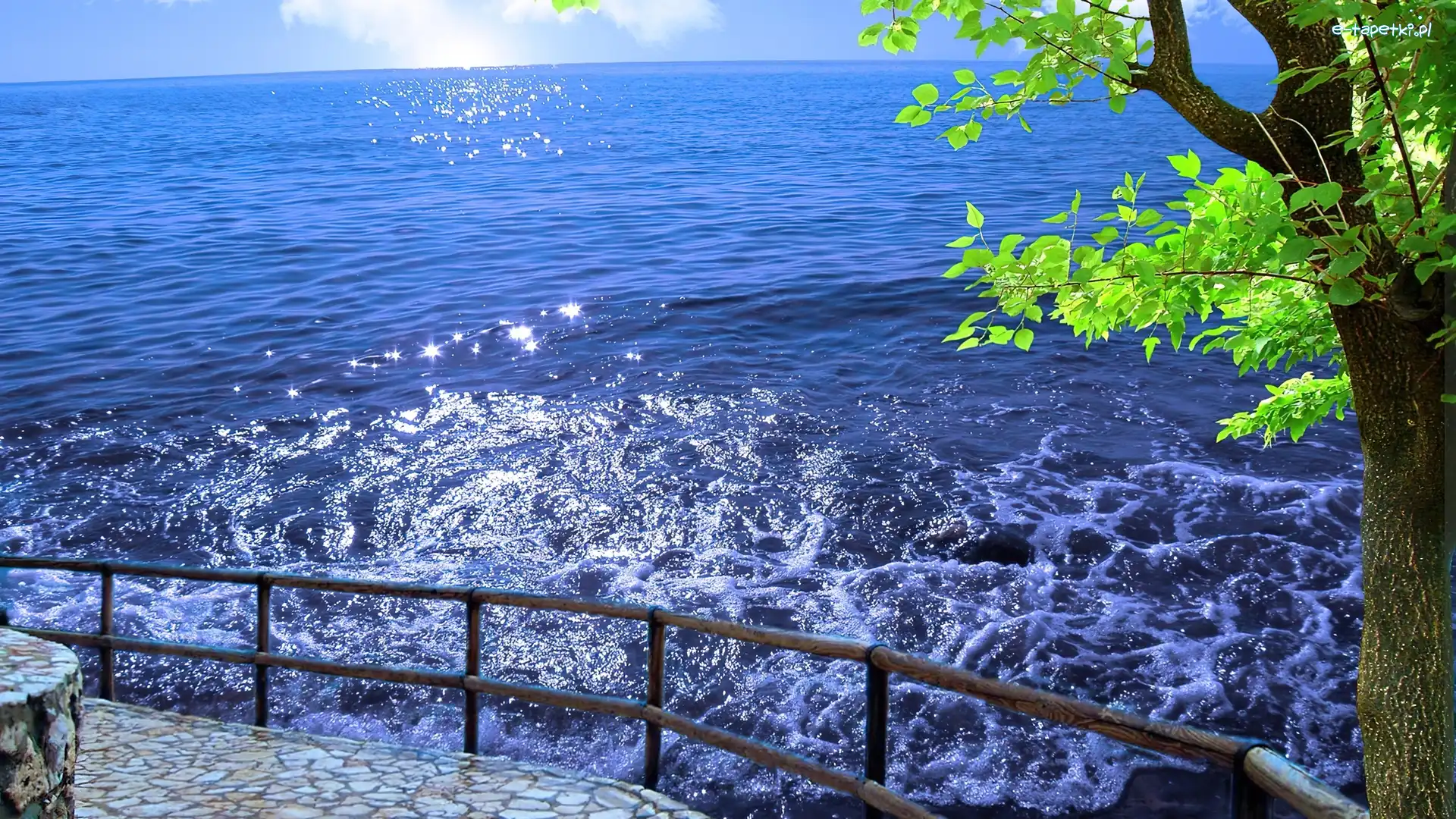 Drzewo, Balustrada, Ocean