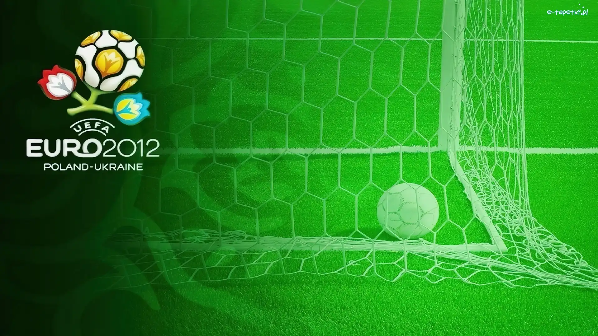 Piłka, Murawa, Bramka, Euro 2012