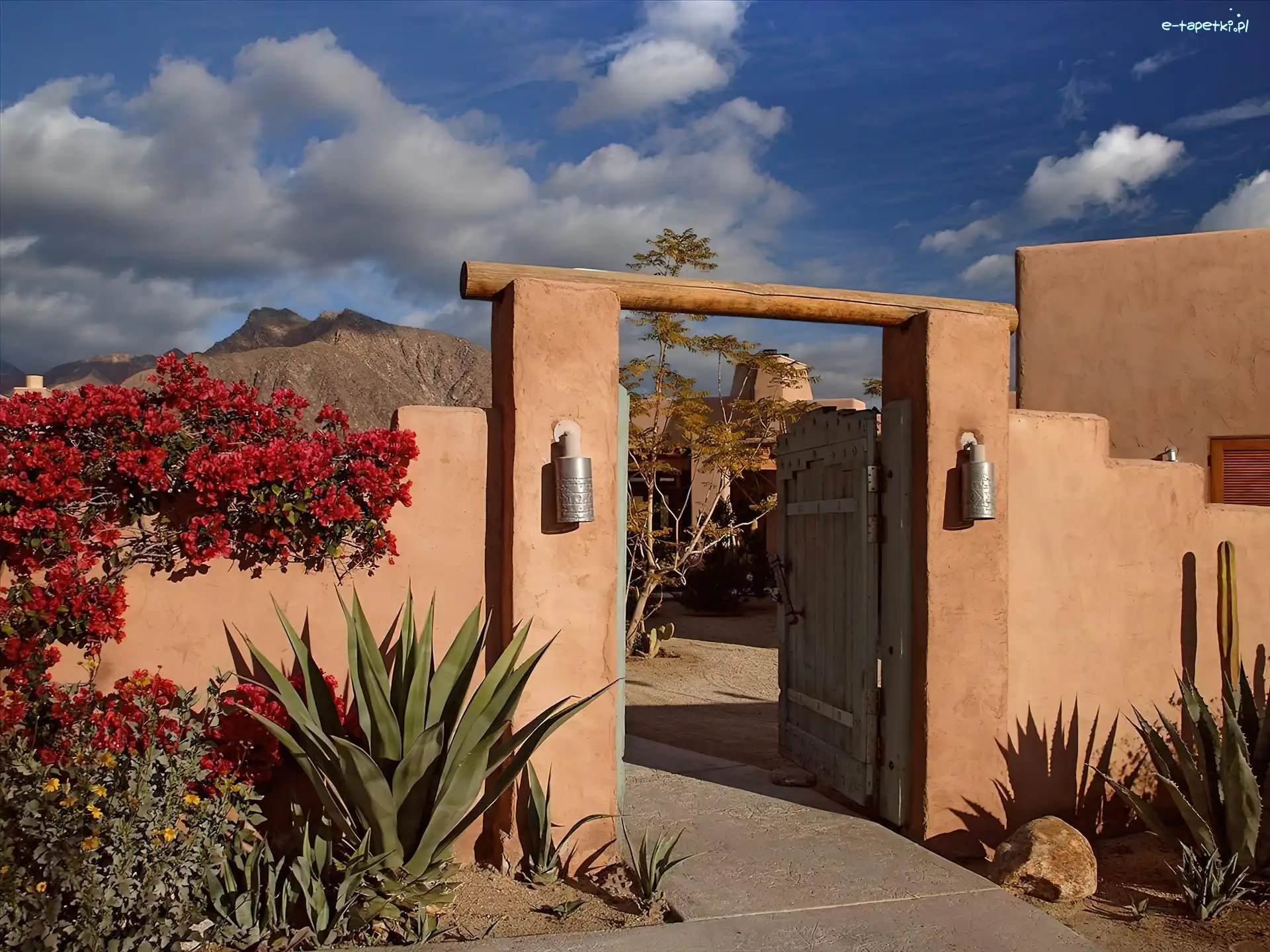 Kalifornia, Mur, Borrego Springs, Kwiaty, Brama