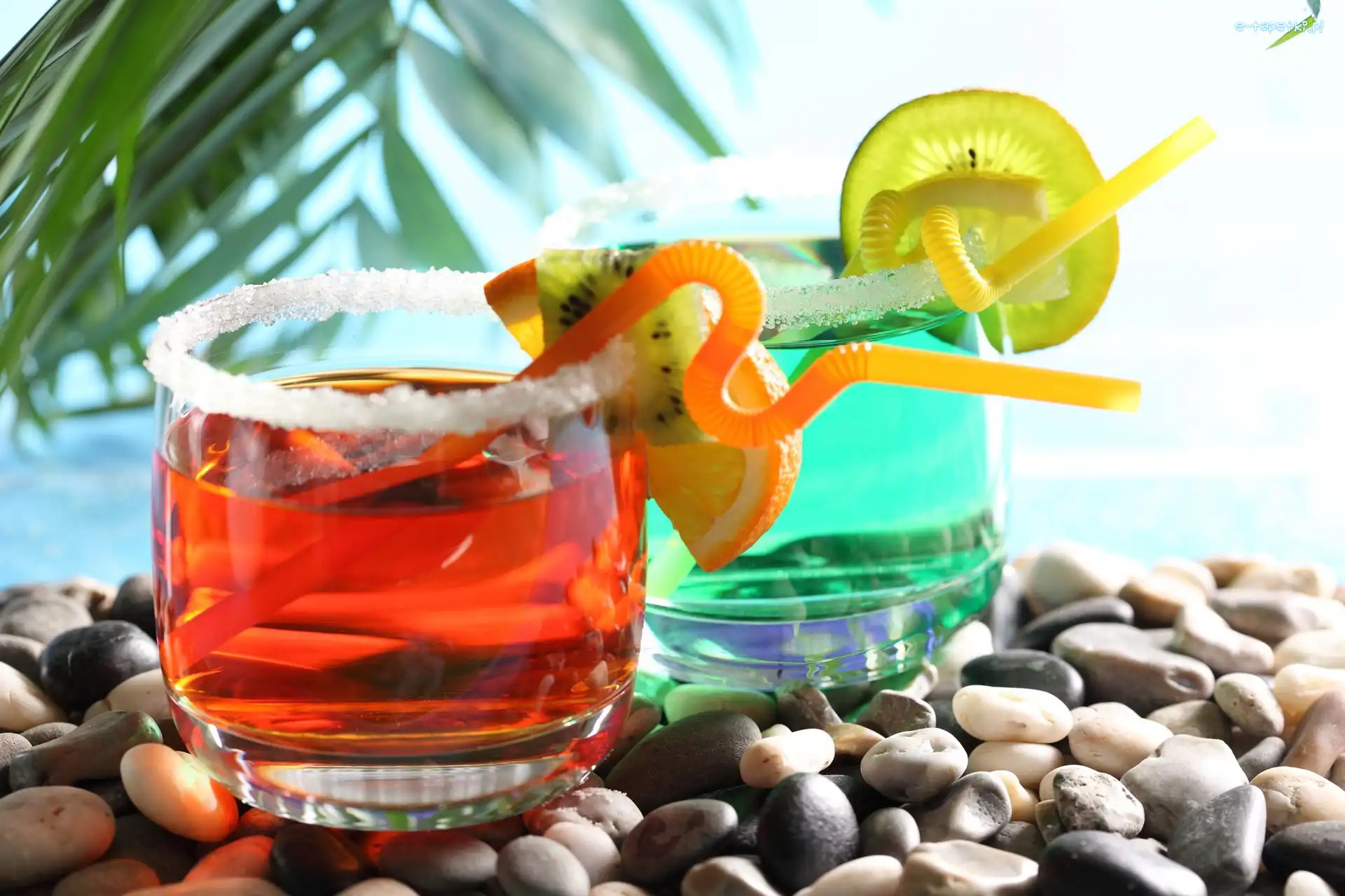 Drink, Pomarańczowy, Zielony