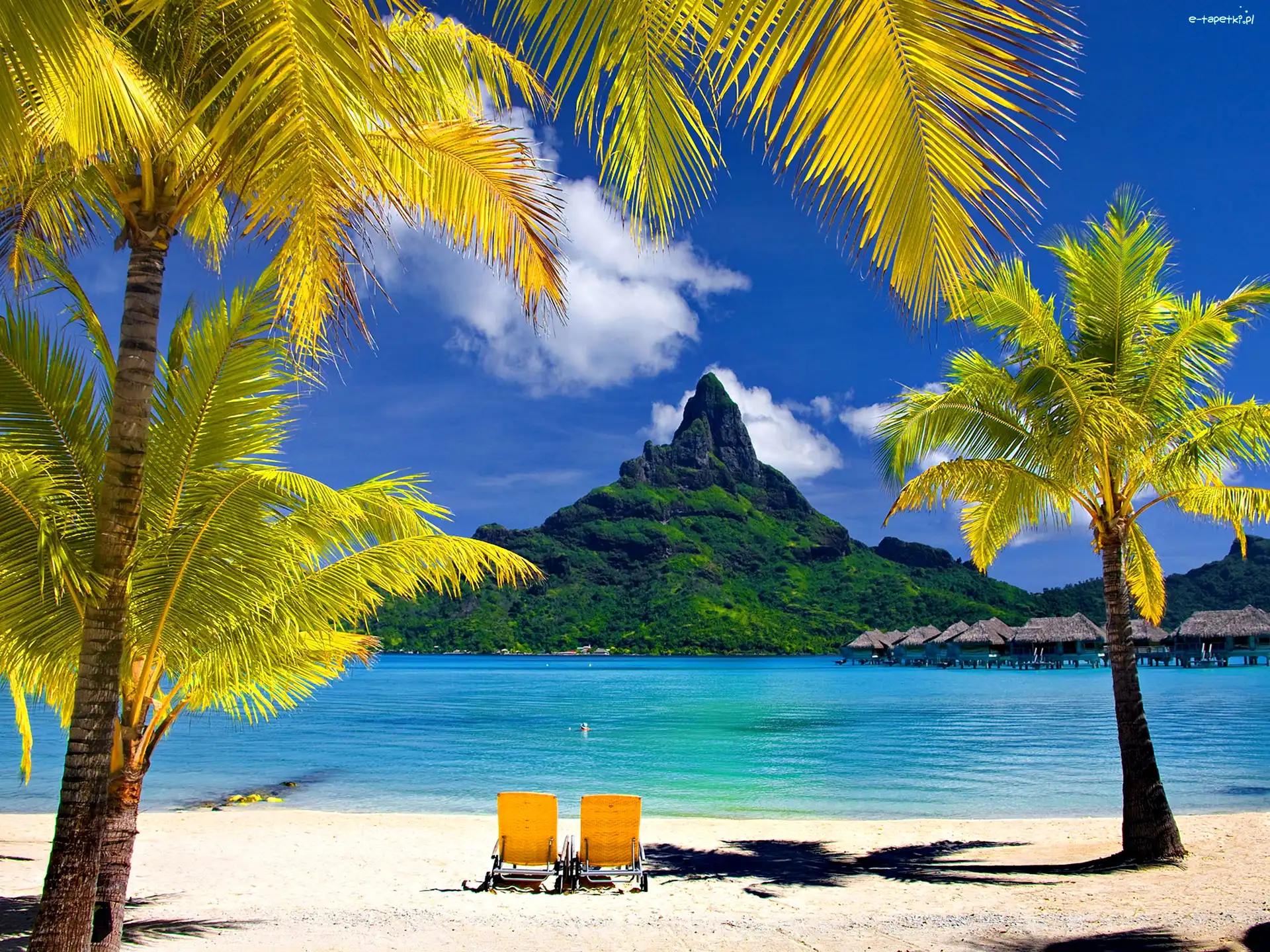 Wakacje, Morze, Hoteliki, Góra, Bora Bora, Leżaki, Palmy