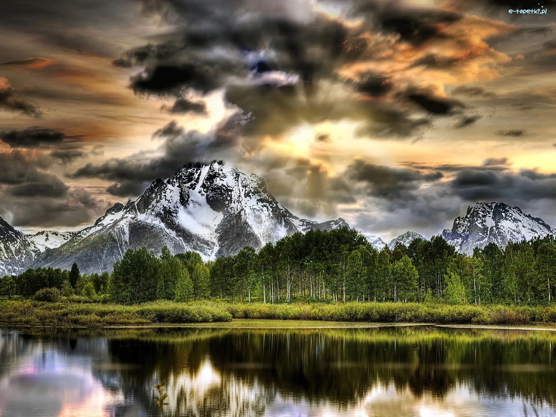 Las, Park Narodowy Grand Teton, Góry, Jezioro, Stan Wyoming, Stany Zjednoczone