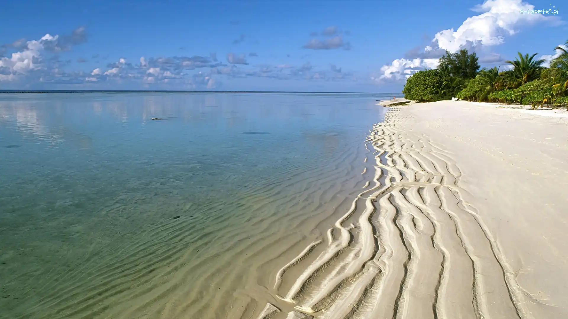 Niebo, Drzewa, Plaża