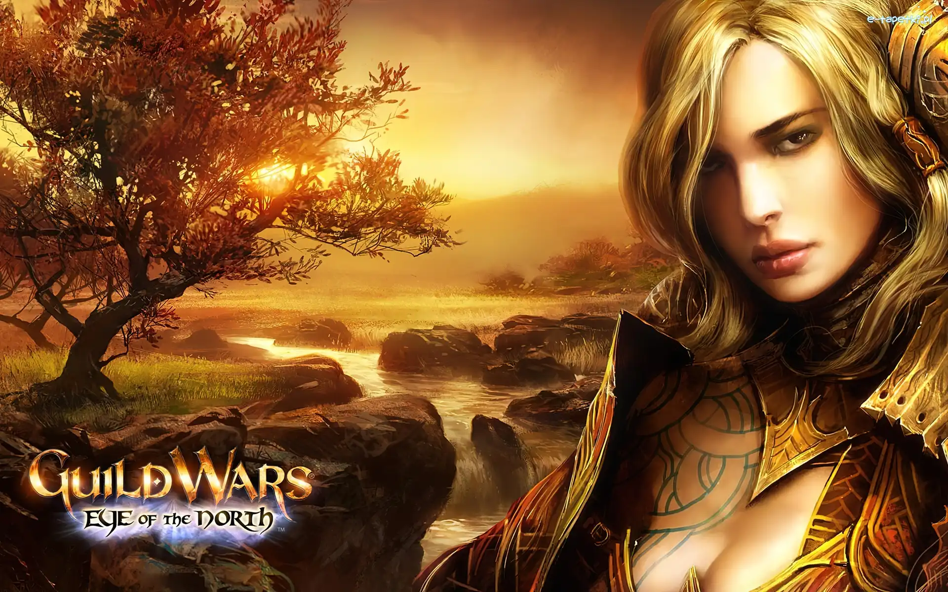 Drzewo, Zbroja, Skały, Woda, Guild Wars, Kobieta