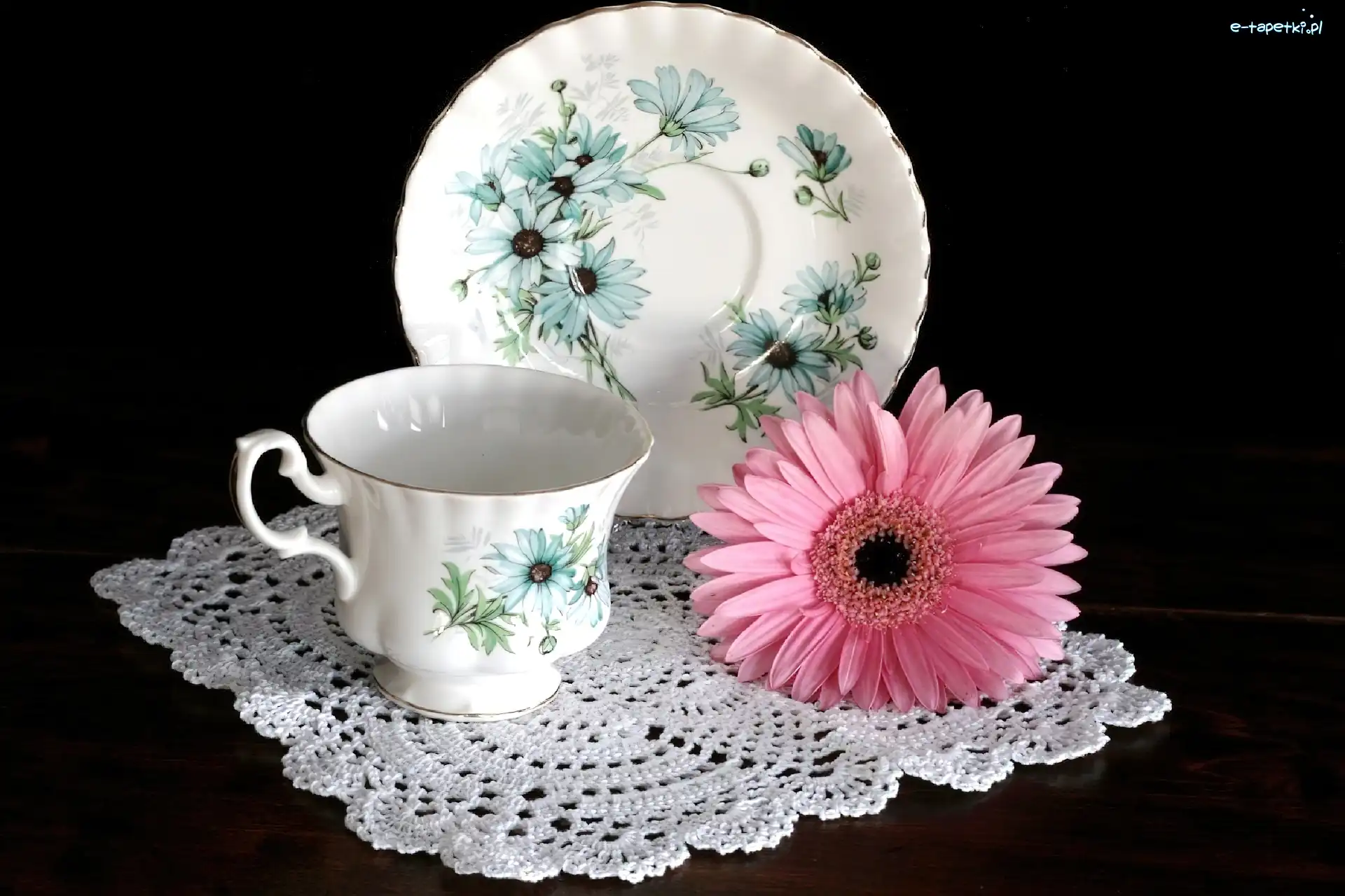 Gerbera, Różowa, Porcelana
