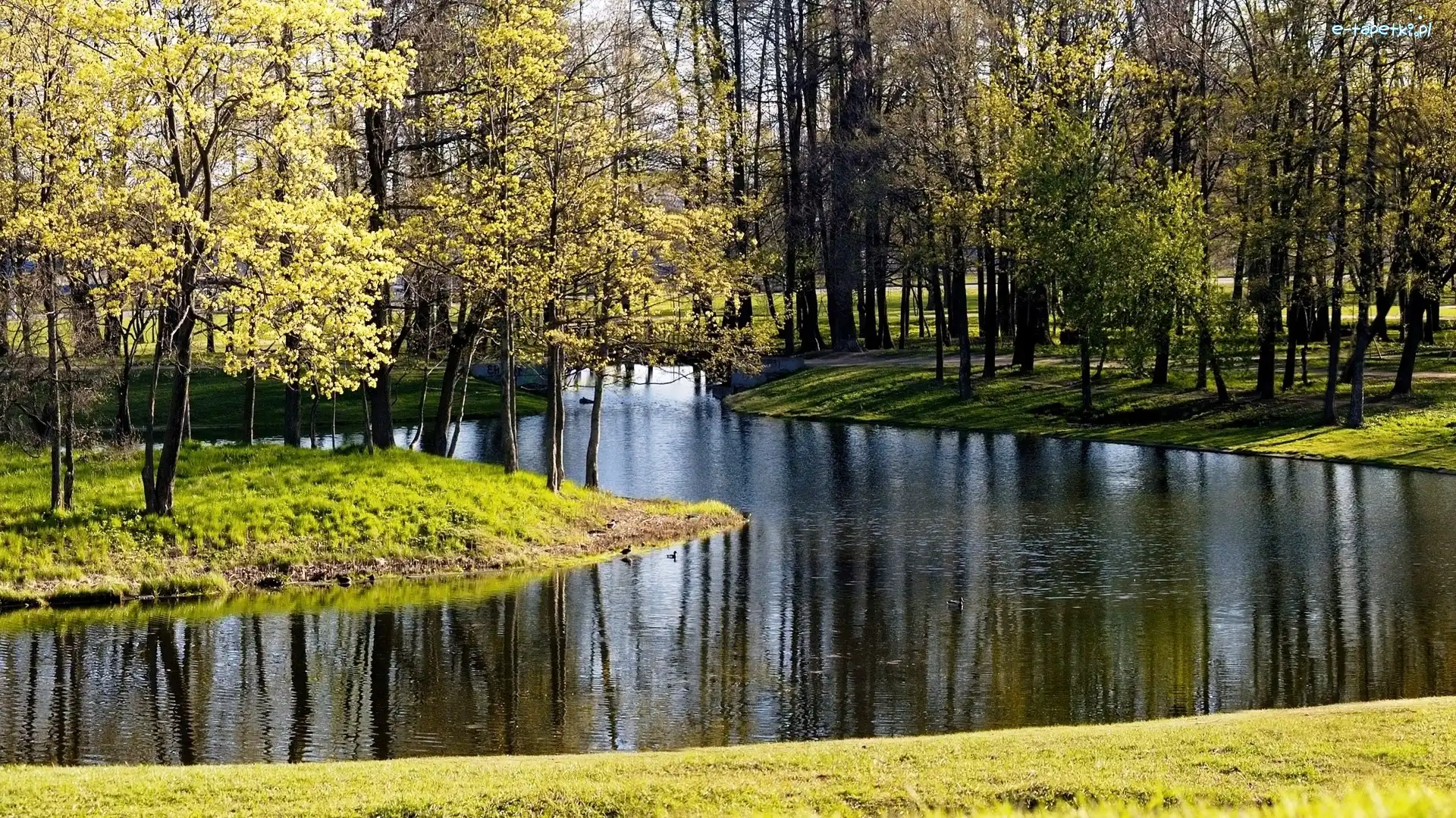 Rzeka, Park