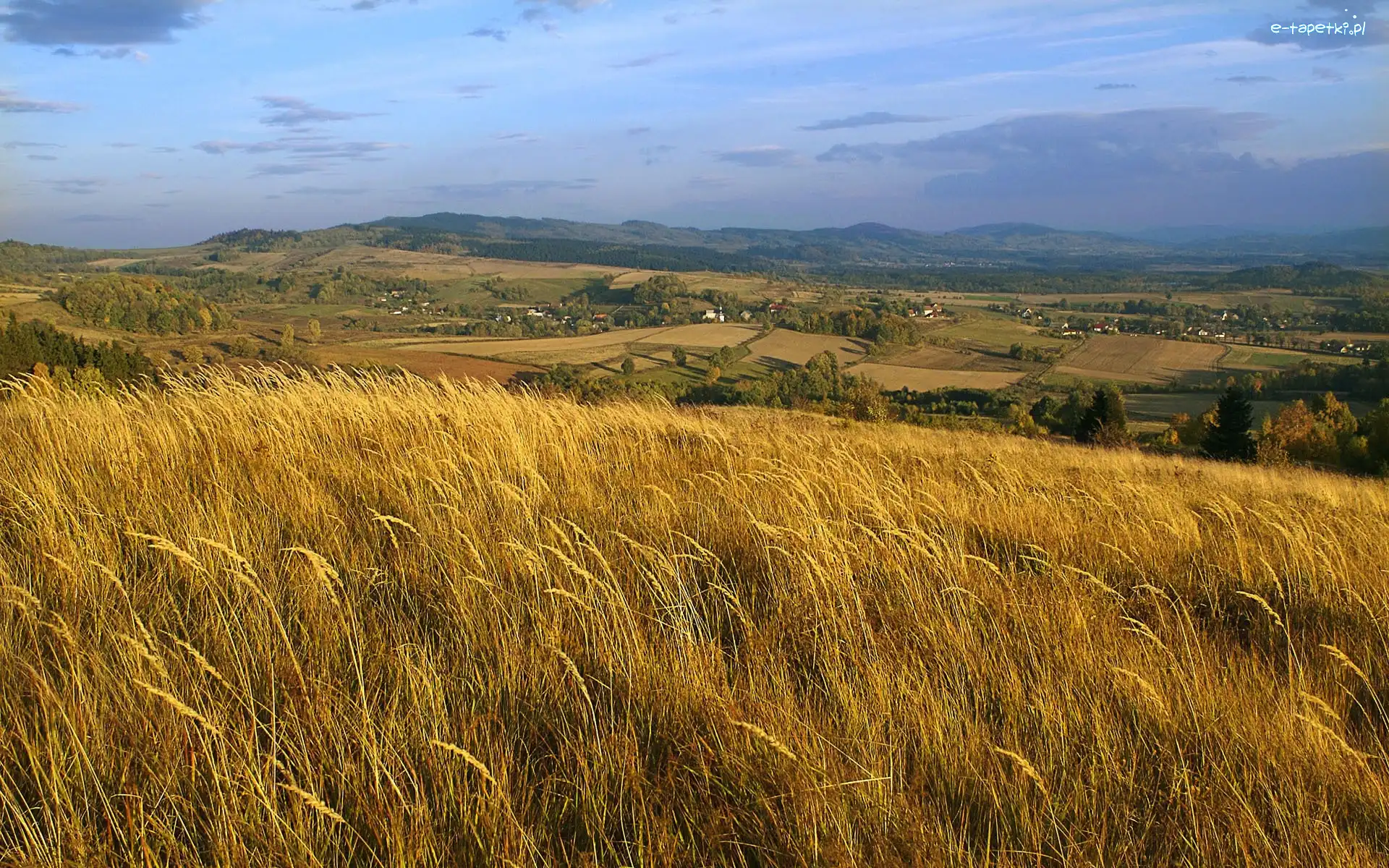 Niebo, Wyżyny, Zboże
