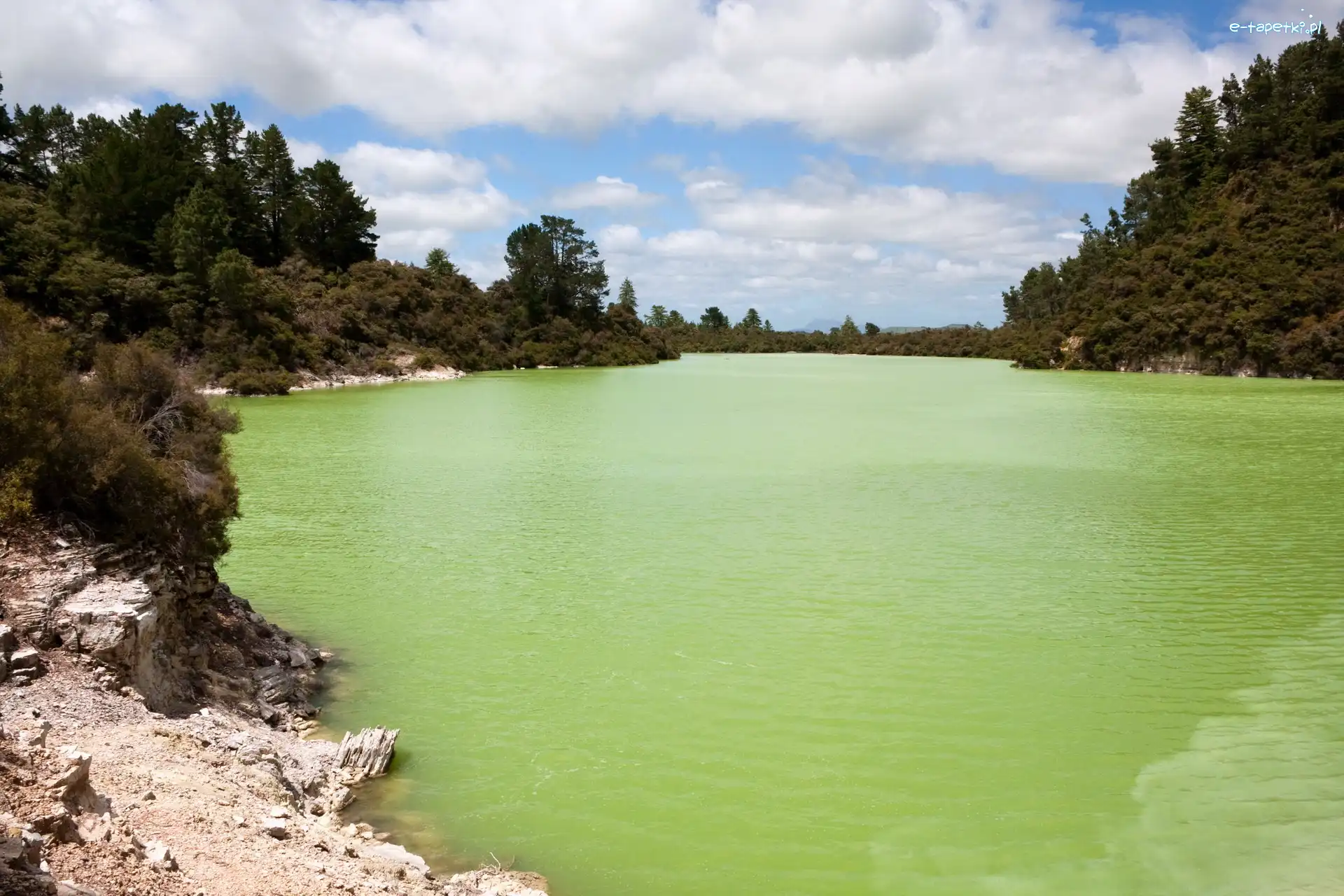 Las, Jezioro