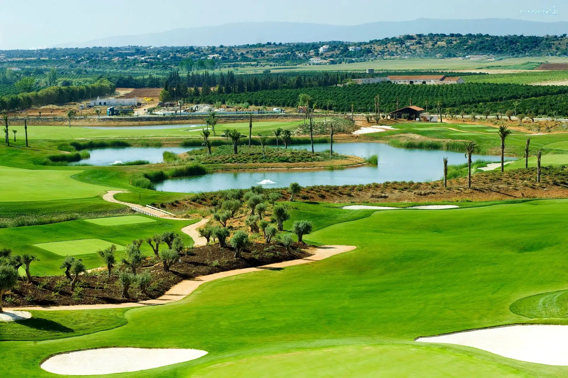 Golfowe, Pole