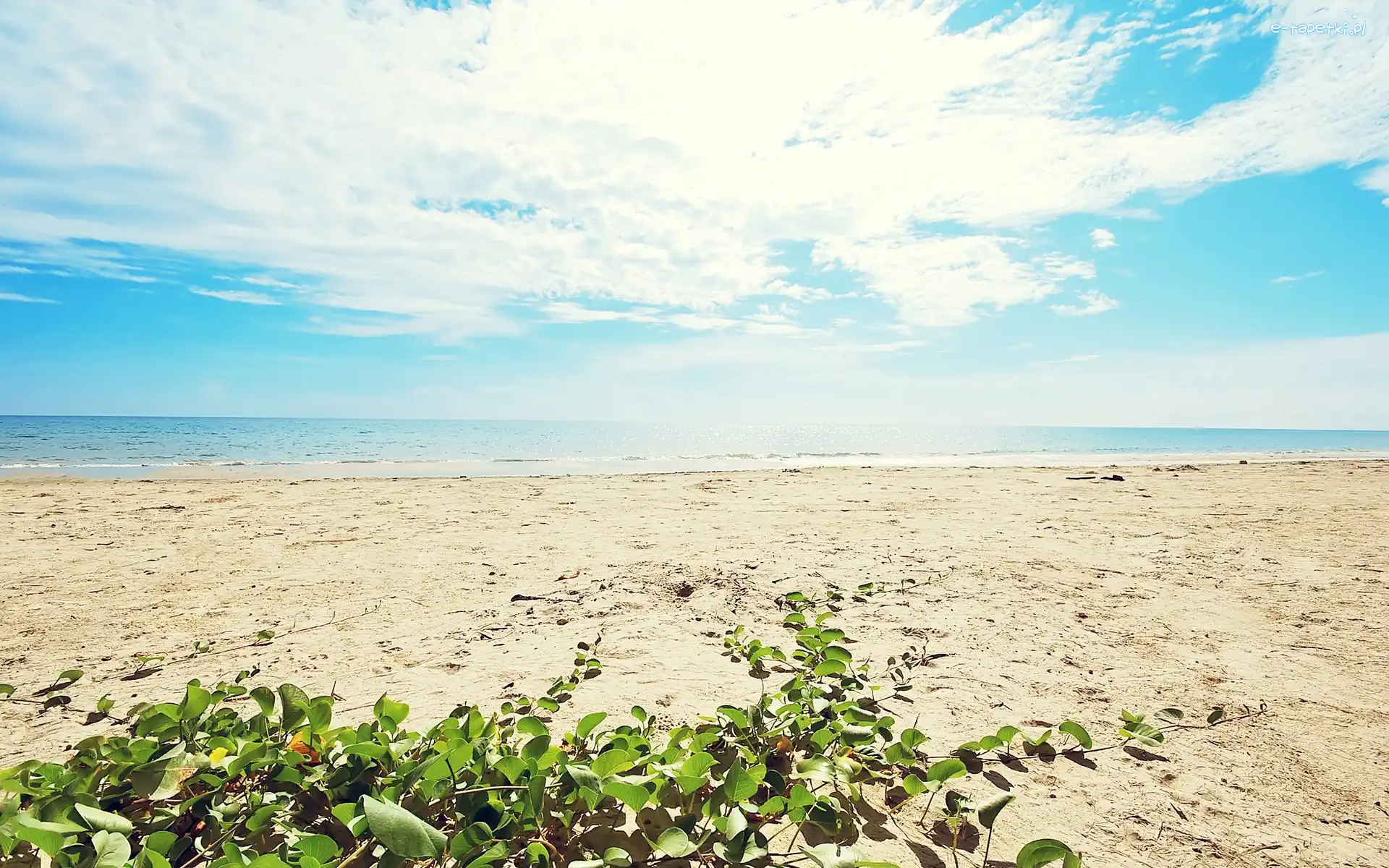 Niebo, Plaża, Morze