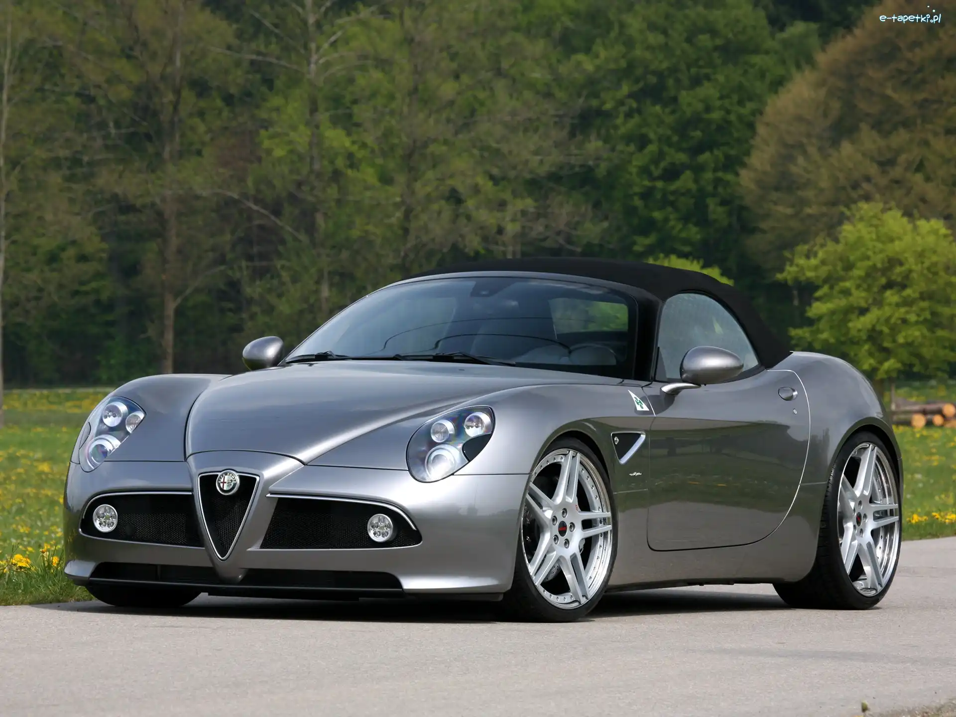 Alfa Romeo 8c Spider, Drzewa, Droga