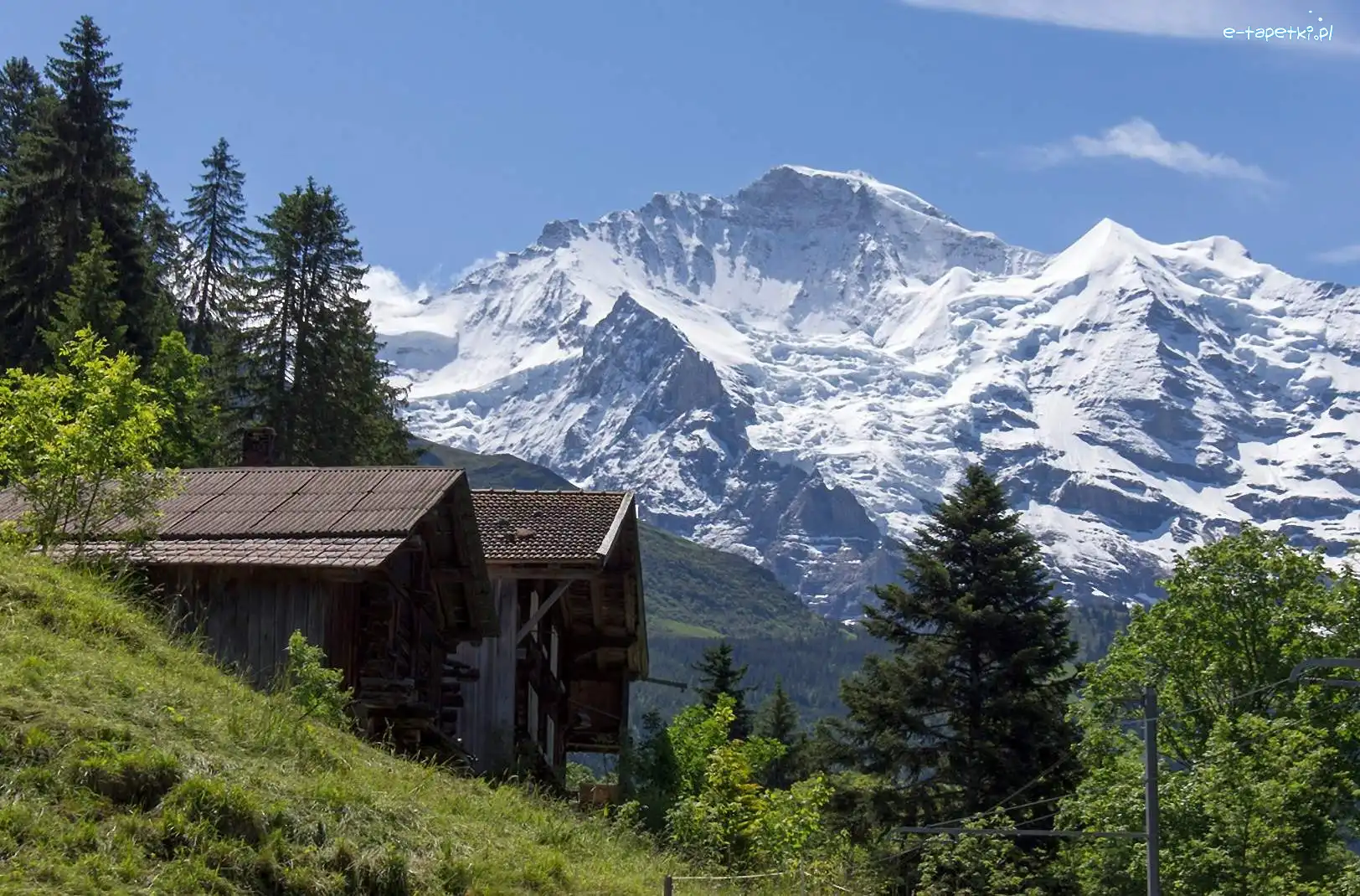 Góry, Drzewa, Domki