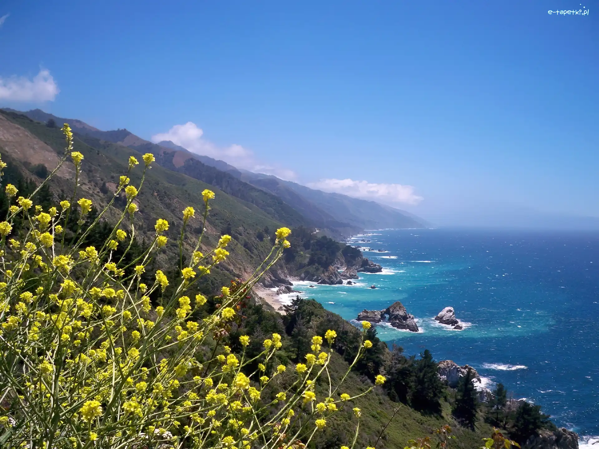 Woda, Kwiatki, Góry, Big Sur