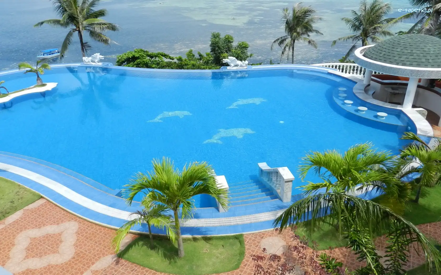Palmy, Basen, Hotel